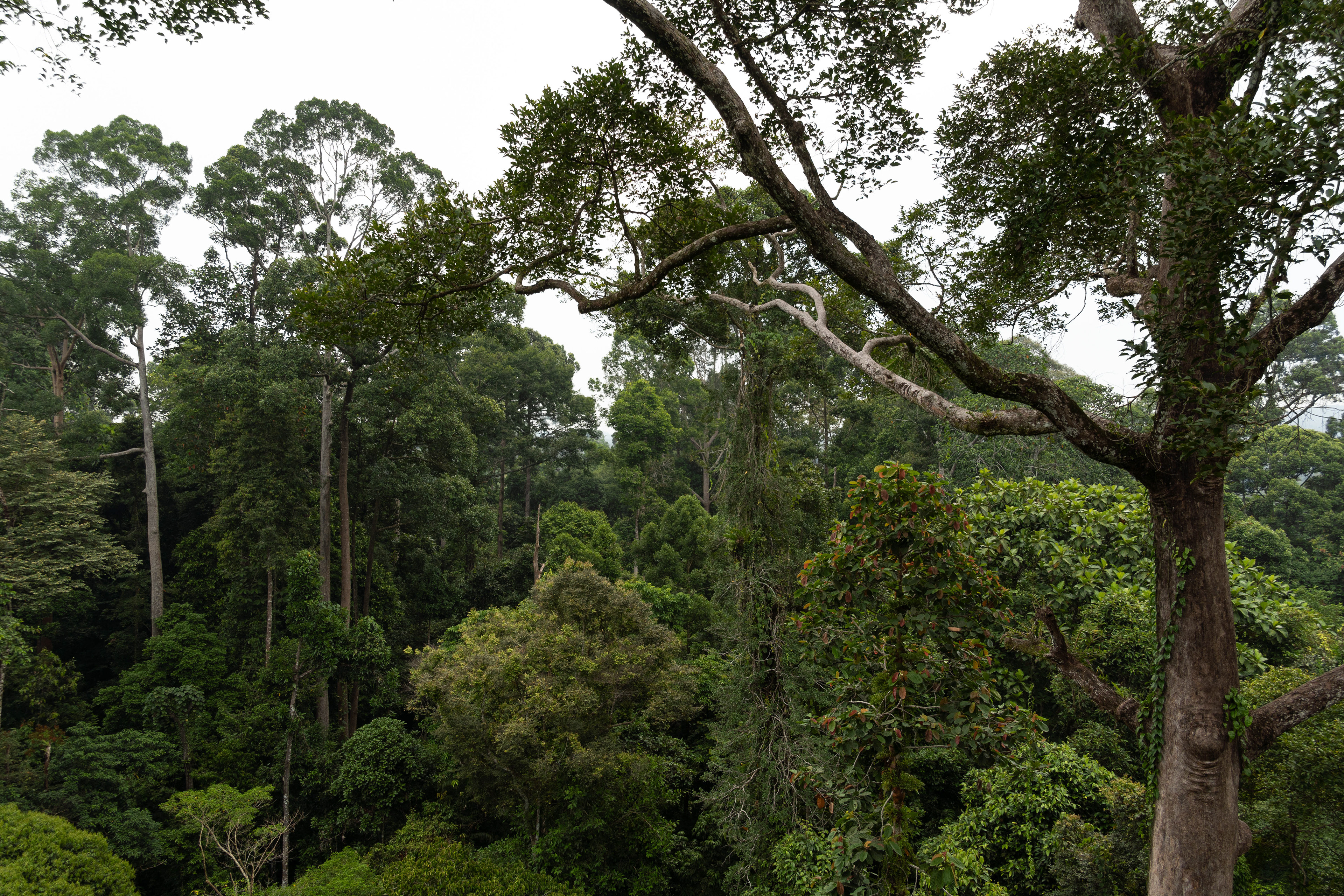 Sabah, Malaysia