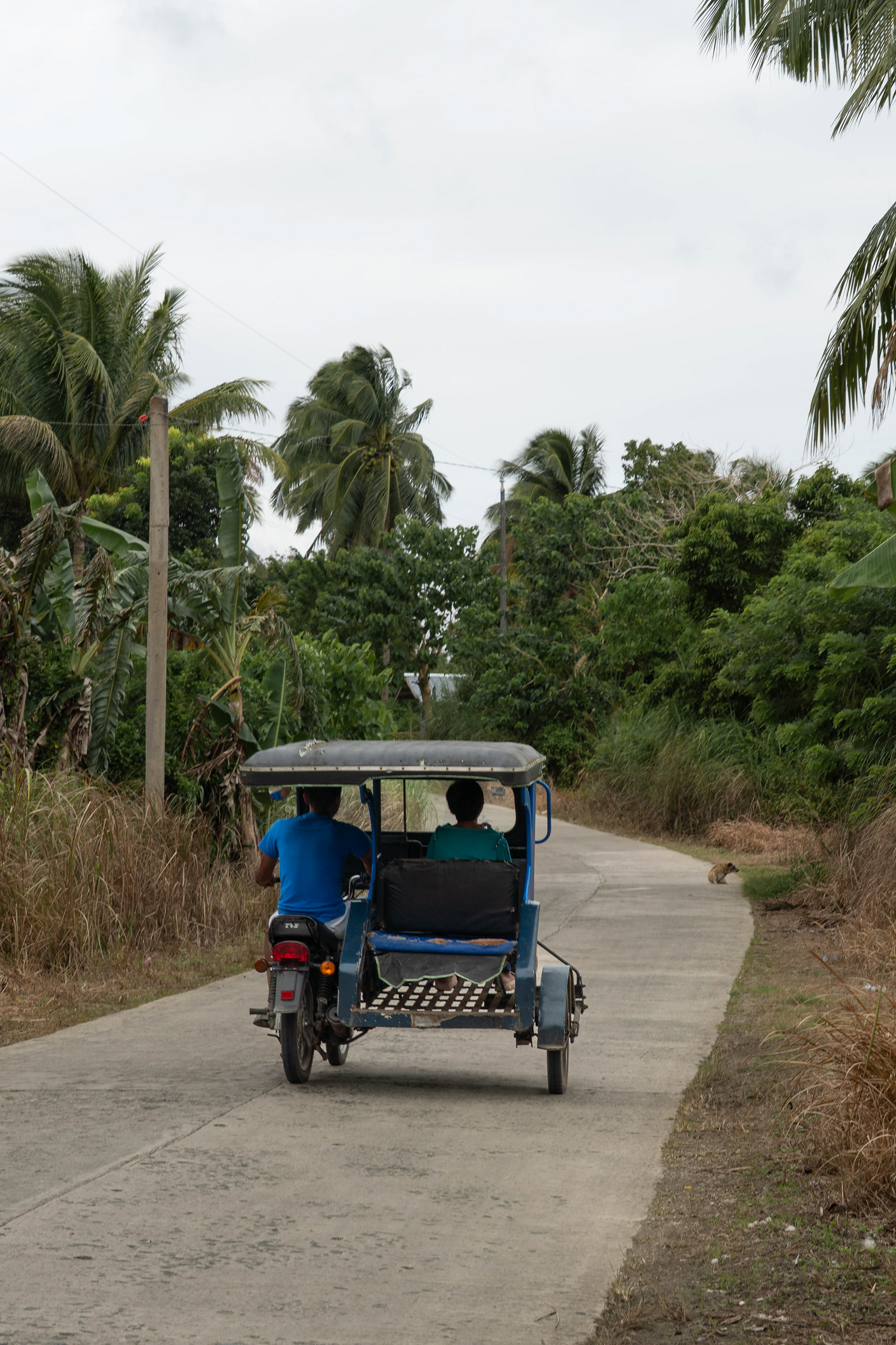 Tricycle, Bohol, Philippines