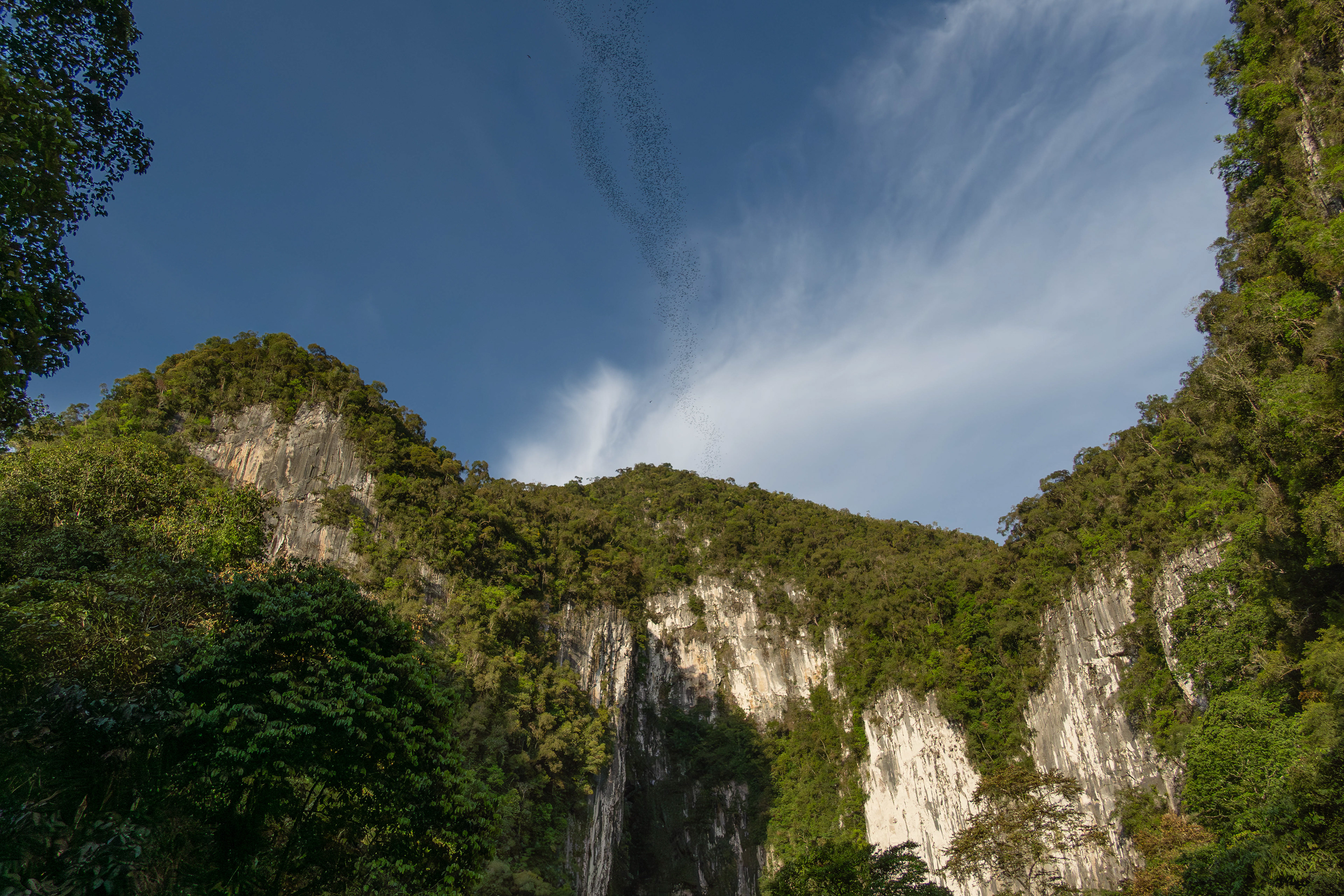 Mulu, Sarawak, Malaysia