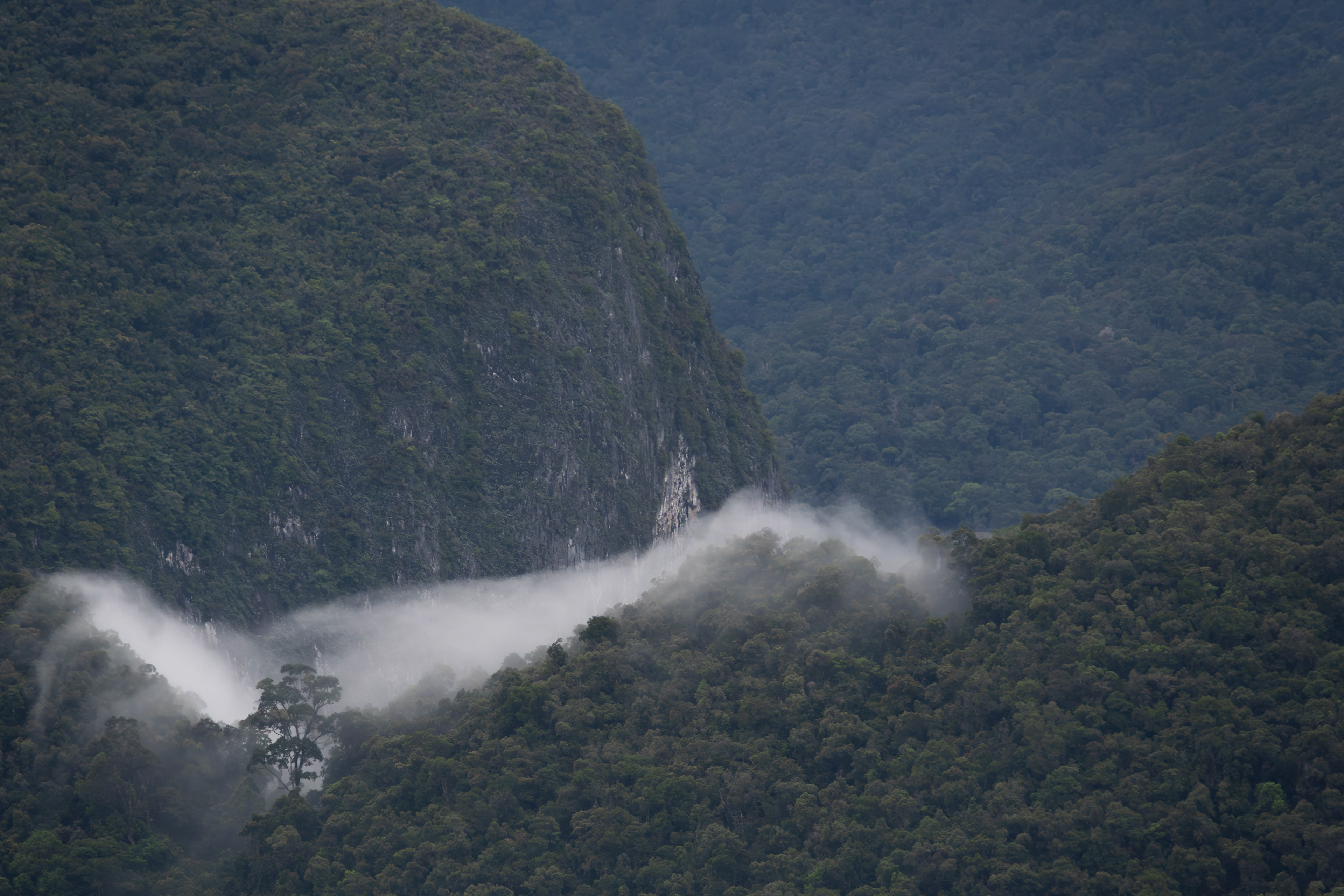 Mulu, Sarawak, Malaysia