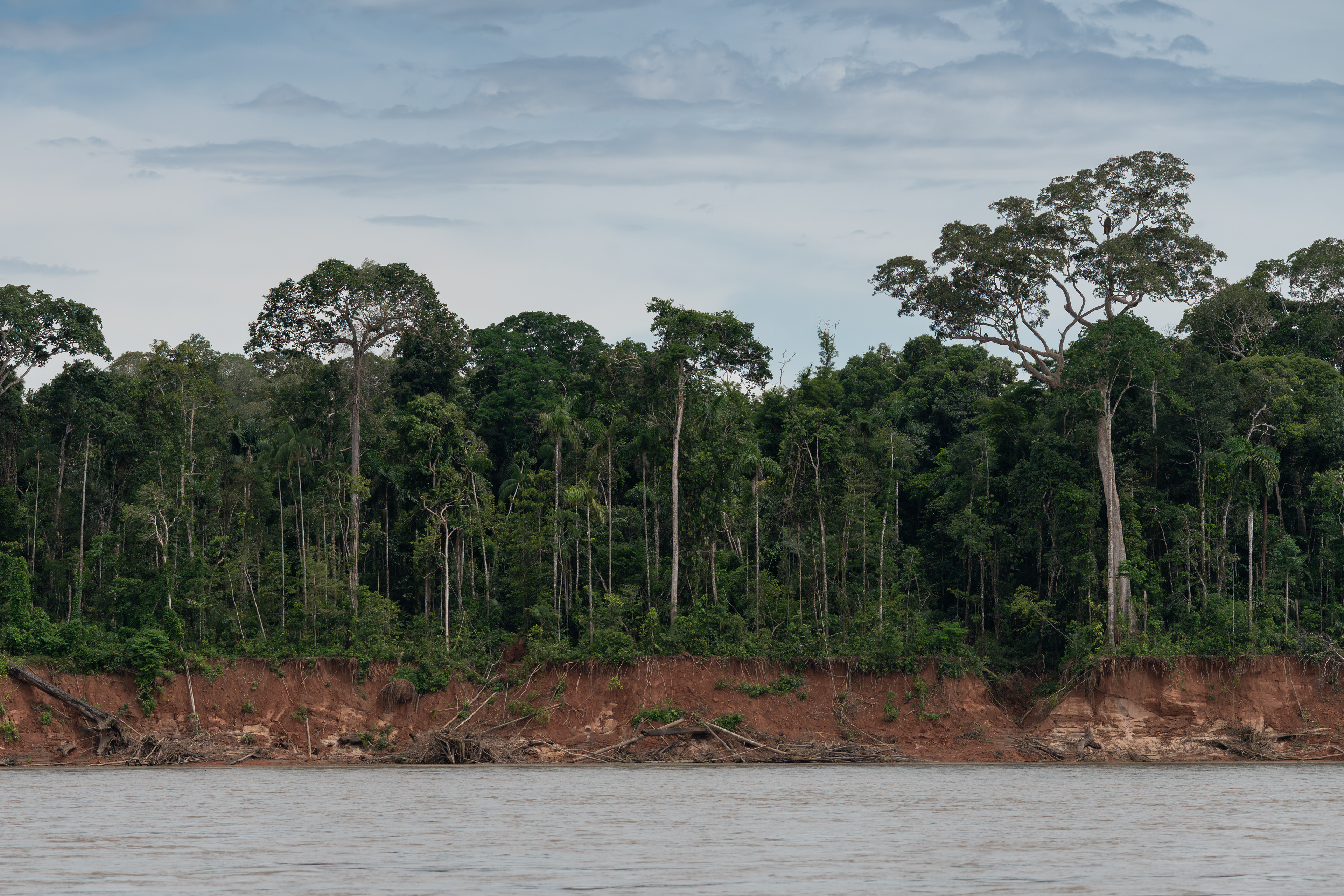 Tambopata, Peru
