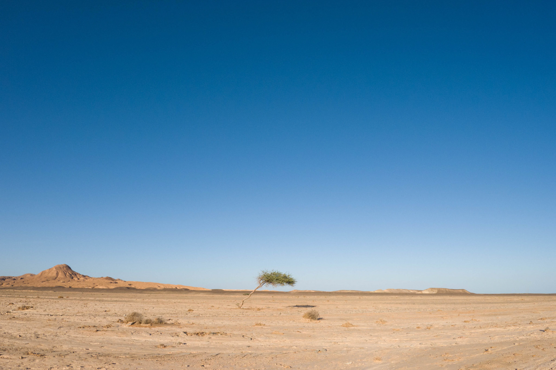 Egypt