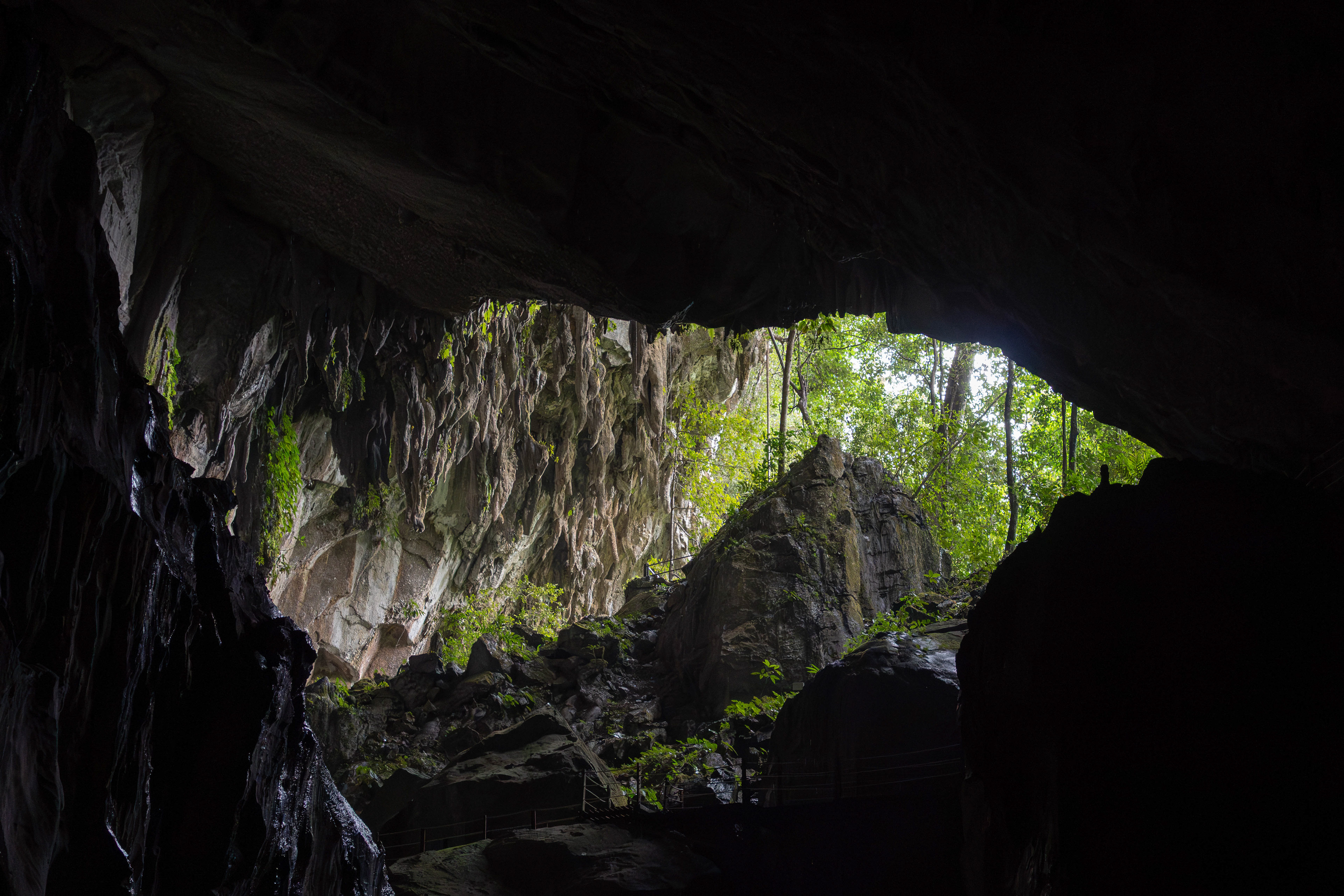 Mulu, Sarawak, Malaysia