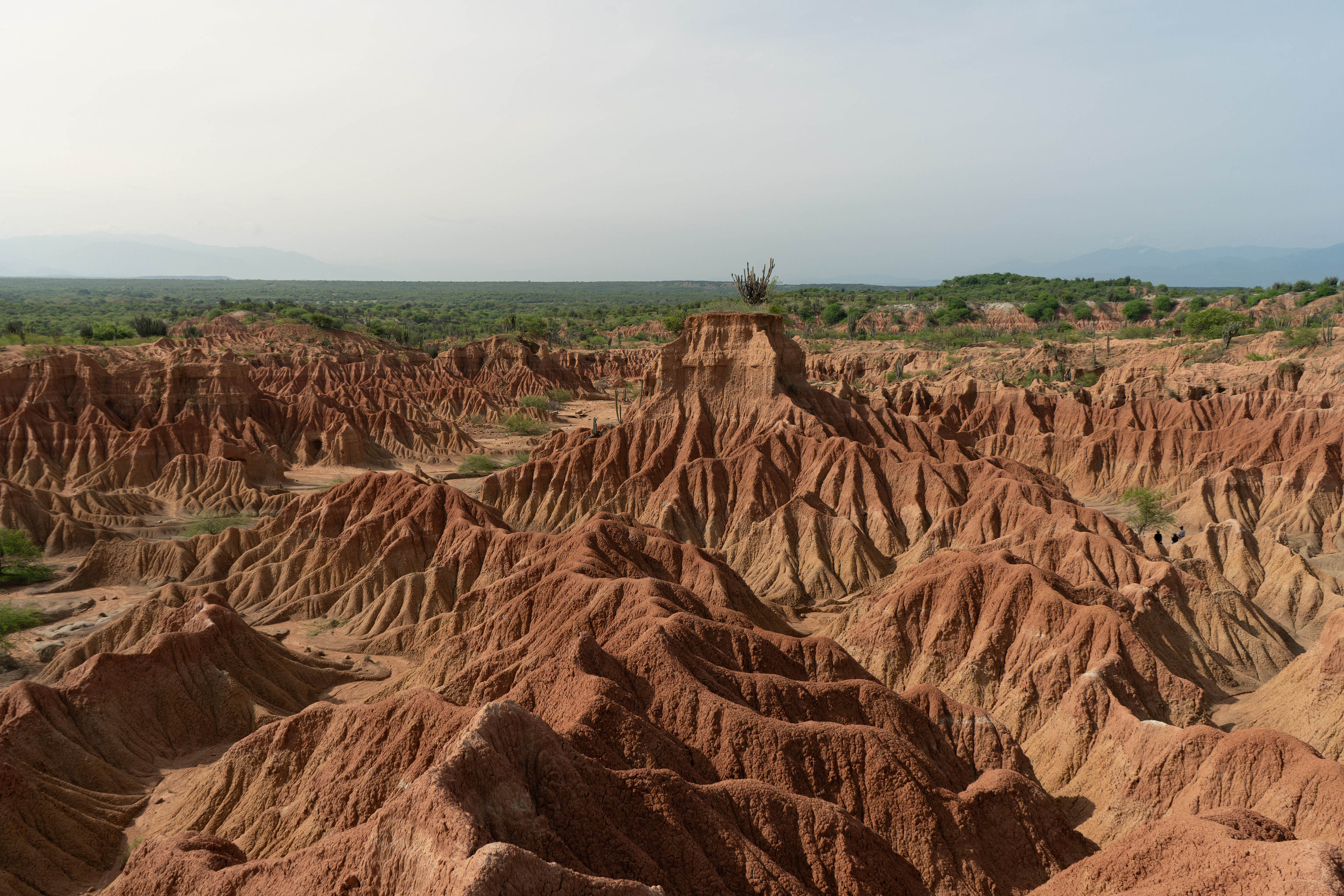 Tatacoa, Colombia