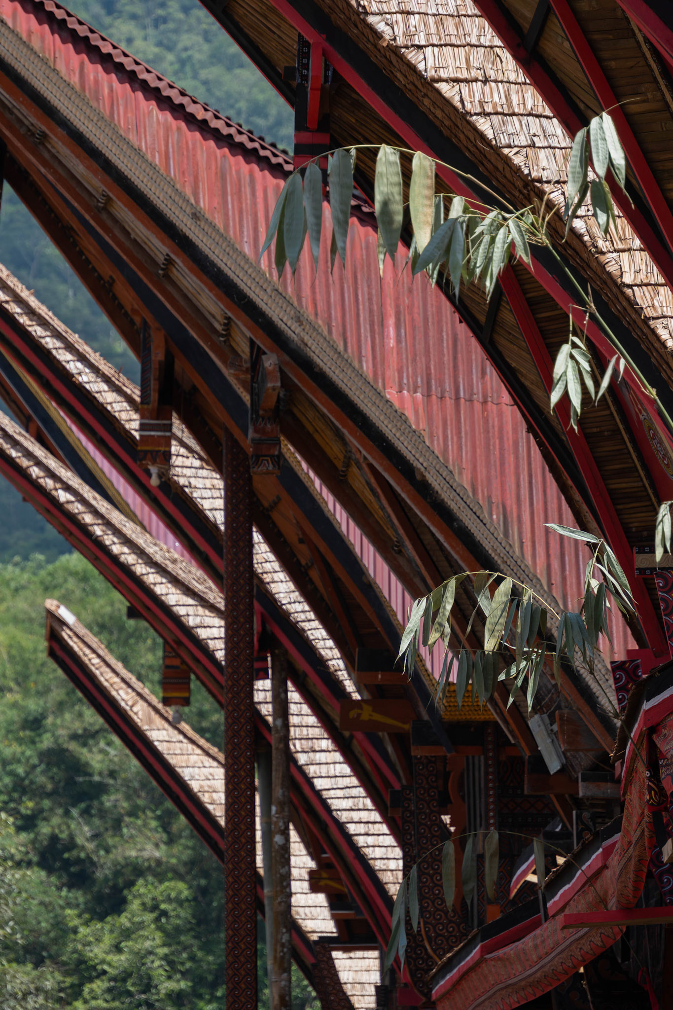 Tana toraja, South-sulawesi, Indonesia