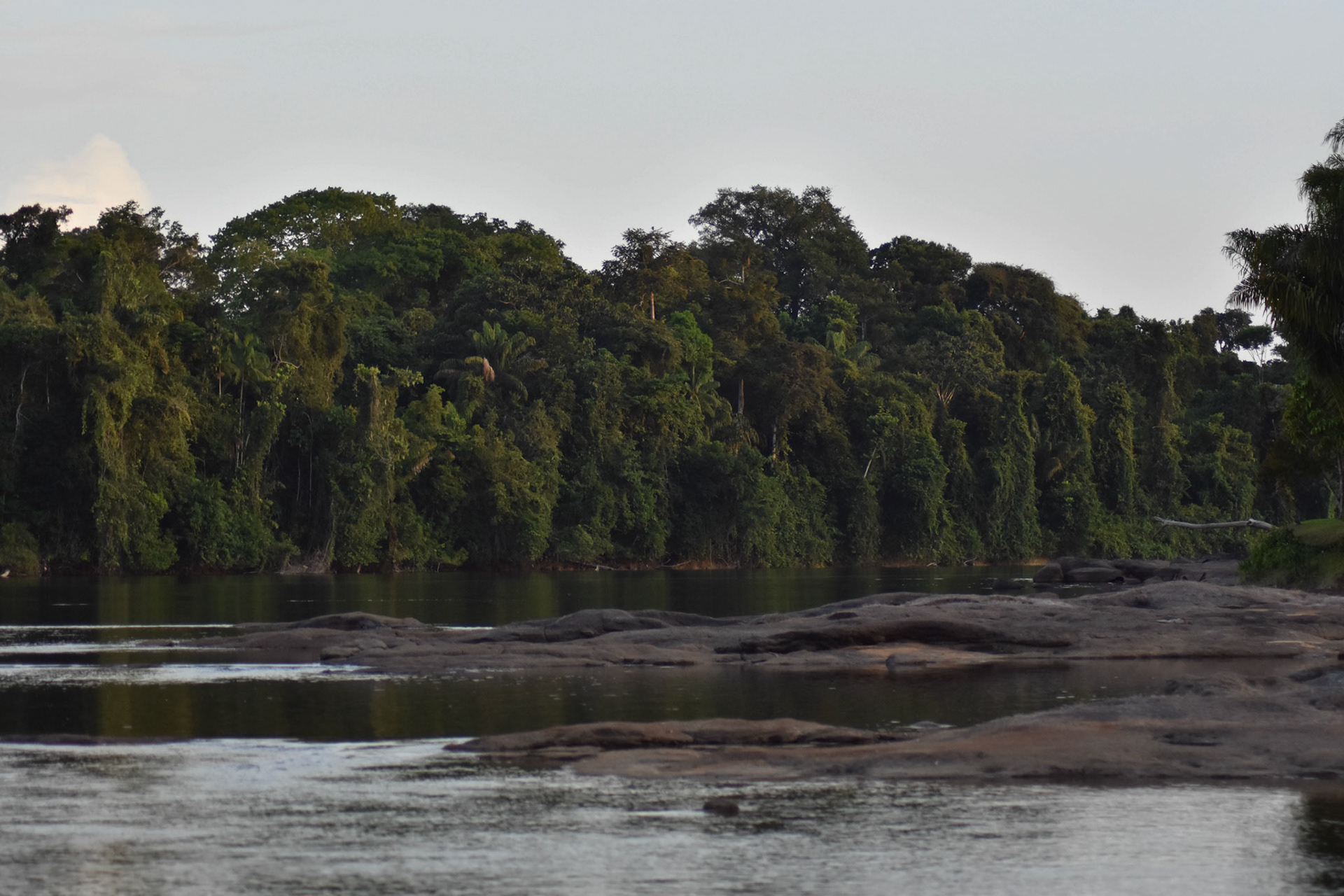 Suriname Rivier, Suriname