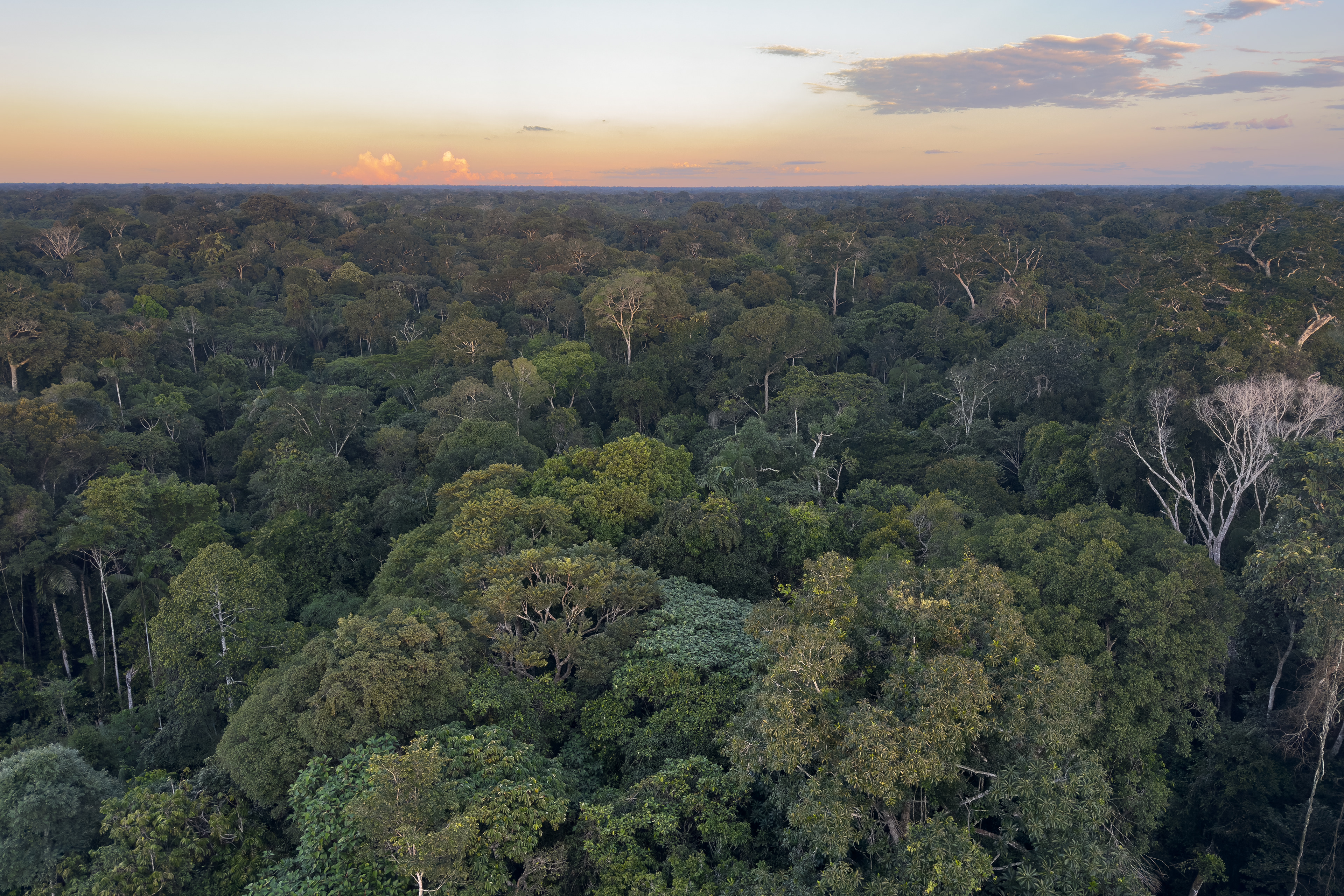 Tambopata, Peru