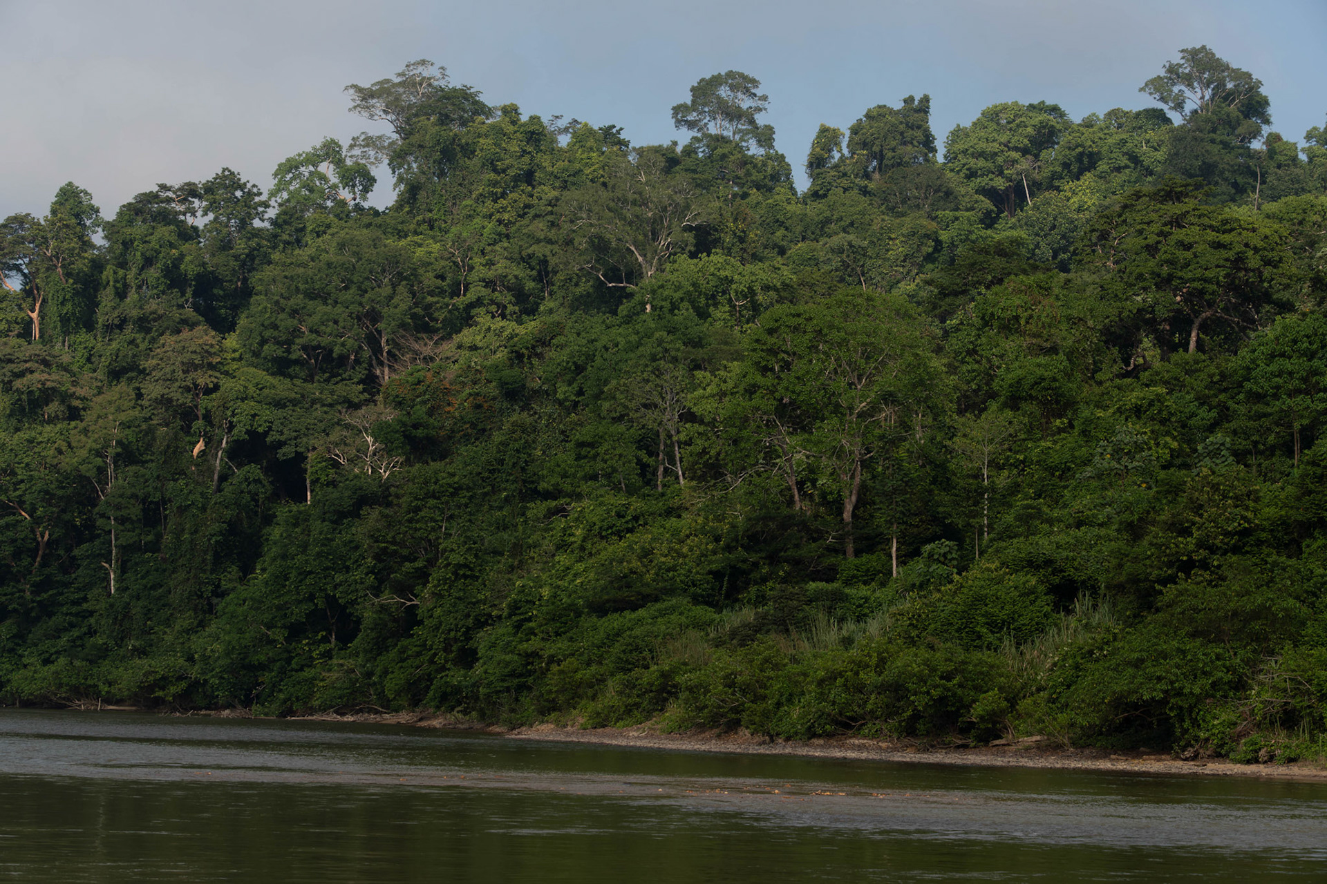 Taman Negara, Pahang, Malaysia