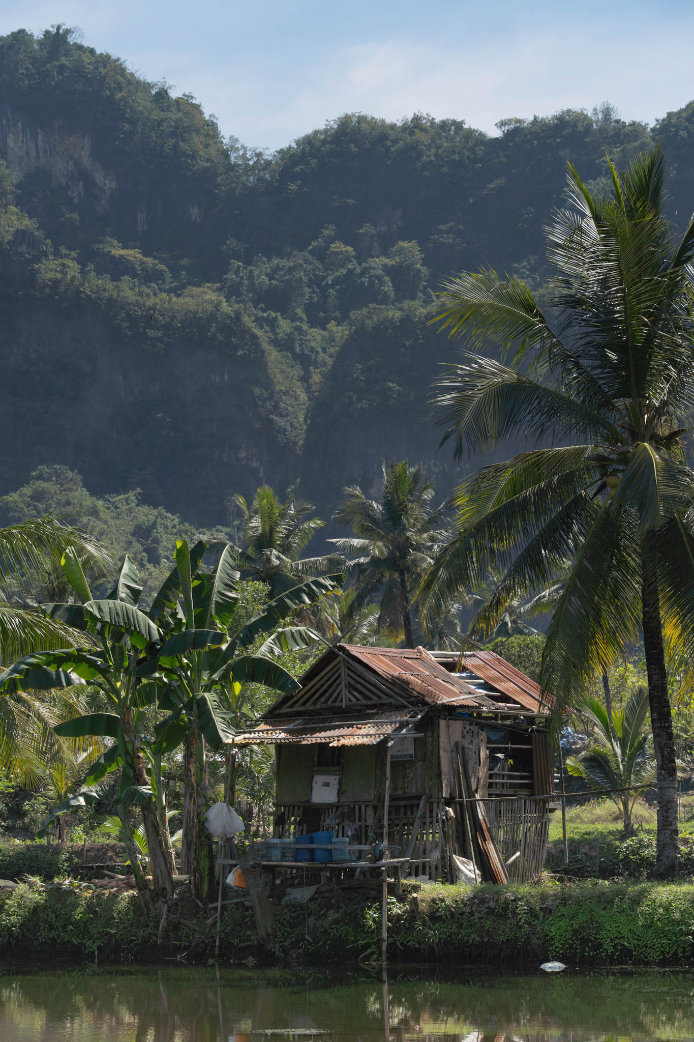 House in the rice fields, South-Sulawesi, Indonesia