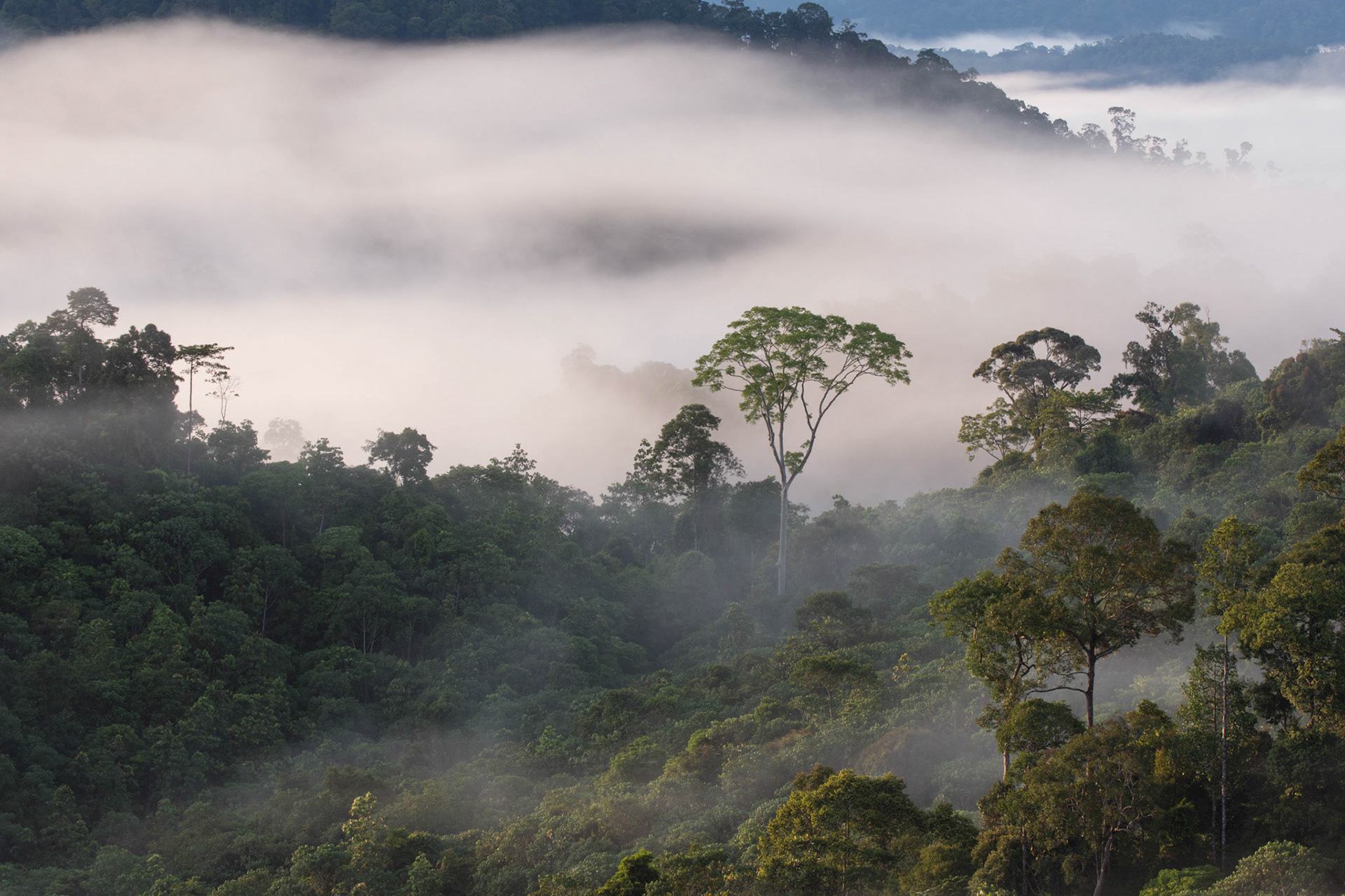 Sarawak, Malaysia