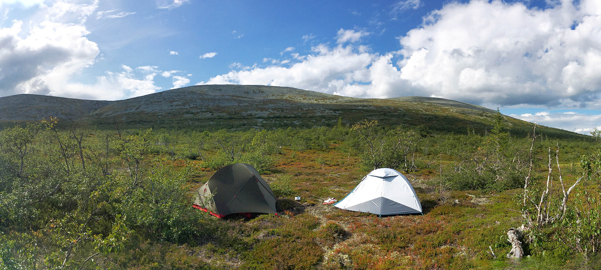 Camping in the wild, Sweden