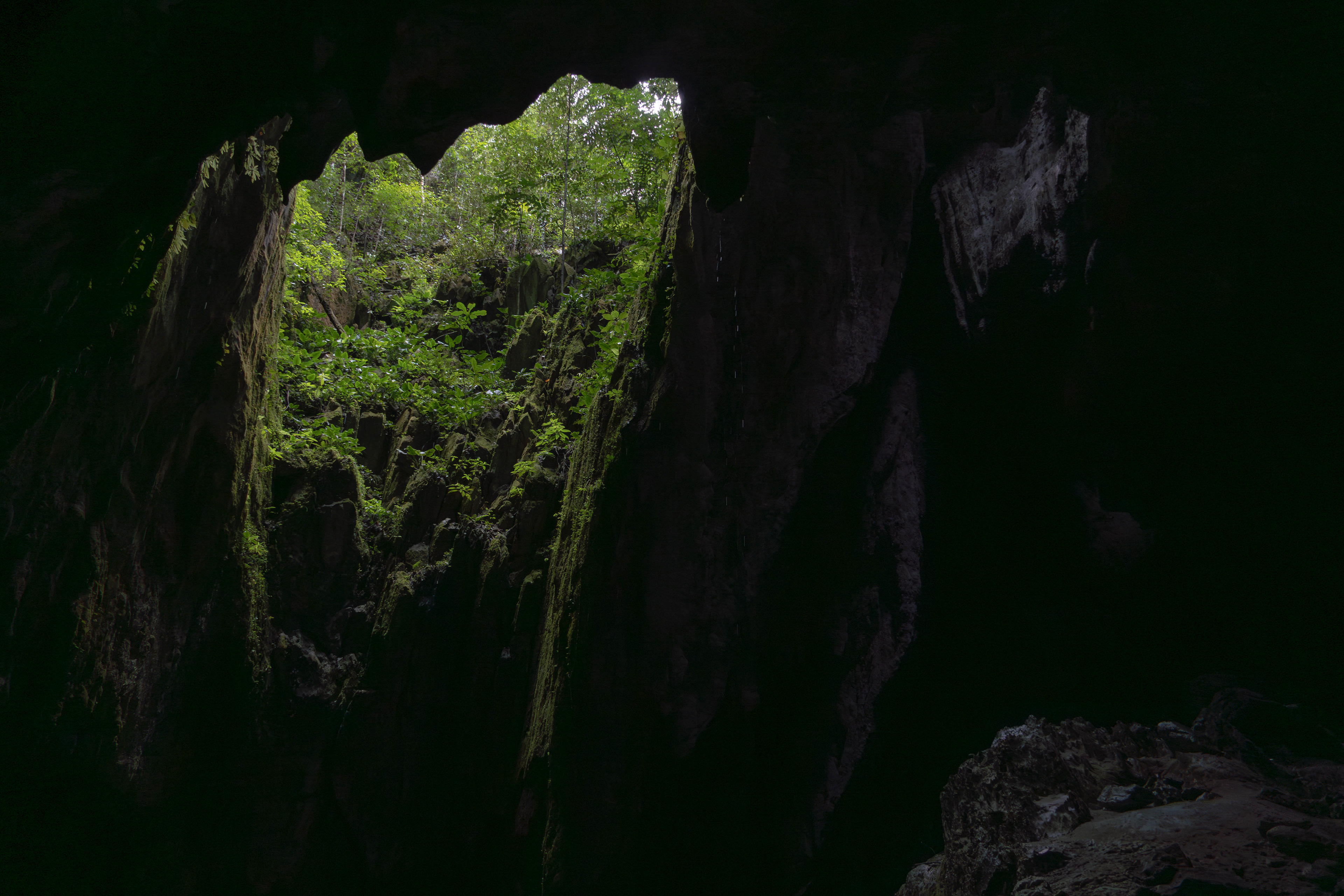 Mulu, Sarawak, Malaysia