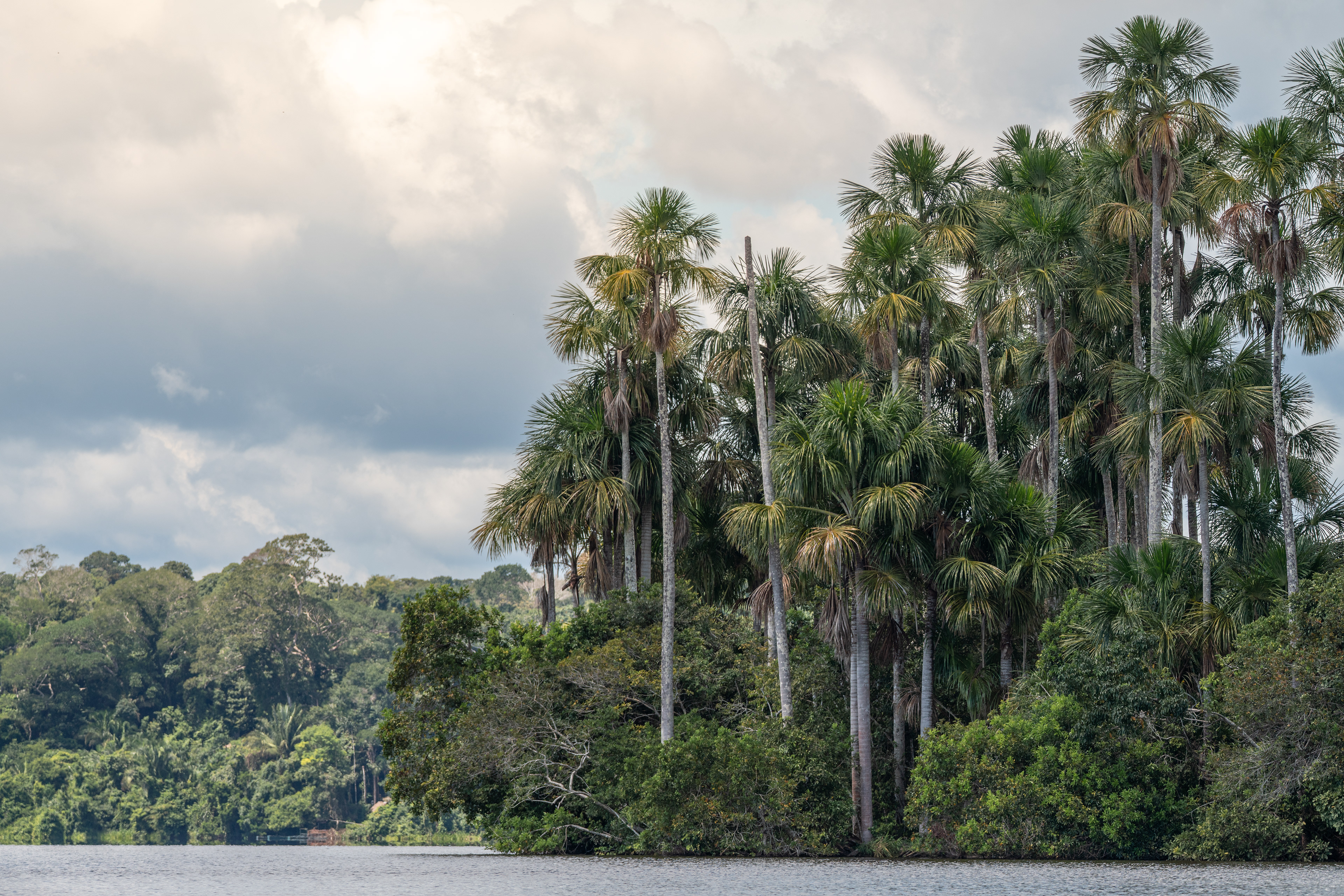 Tambopata, Peru