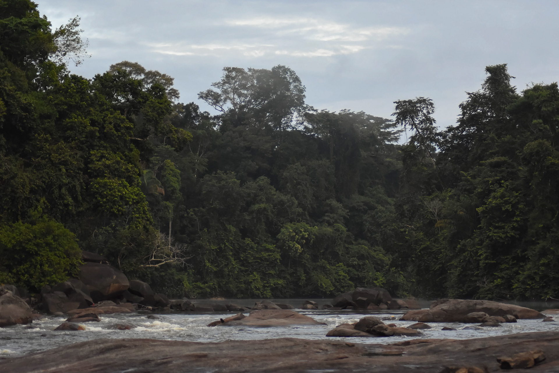 Suriname Rivier, Suriname