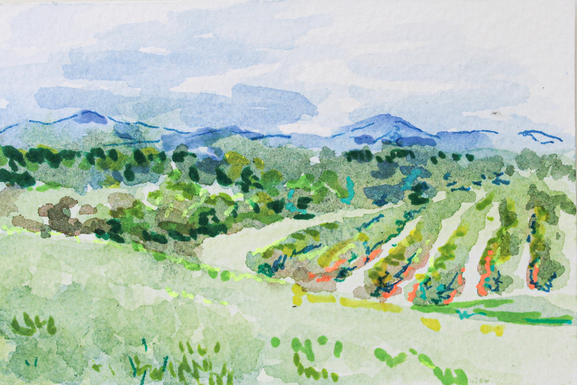 Bell Farm