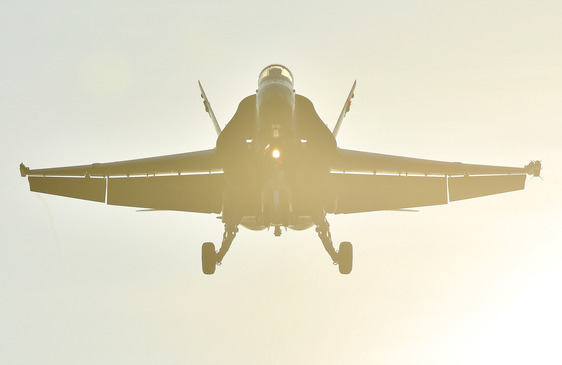 F/A-18C J-5003 Swiss Air Force