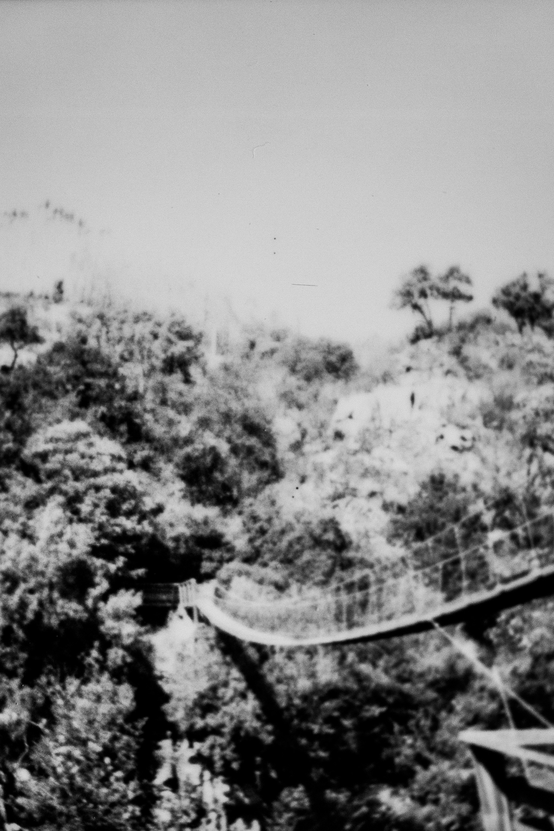 Passadiços do Paiva, 4540, Arouca, Centre, Portugal, 2026 (Polaroid)