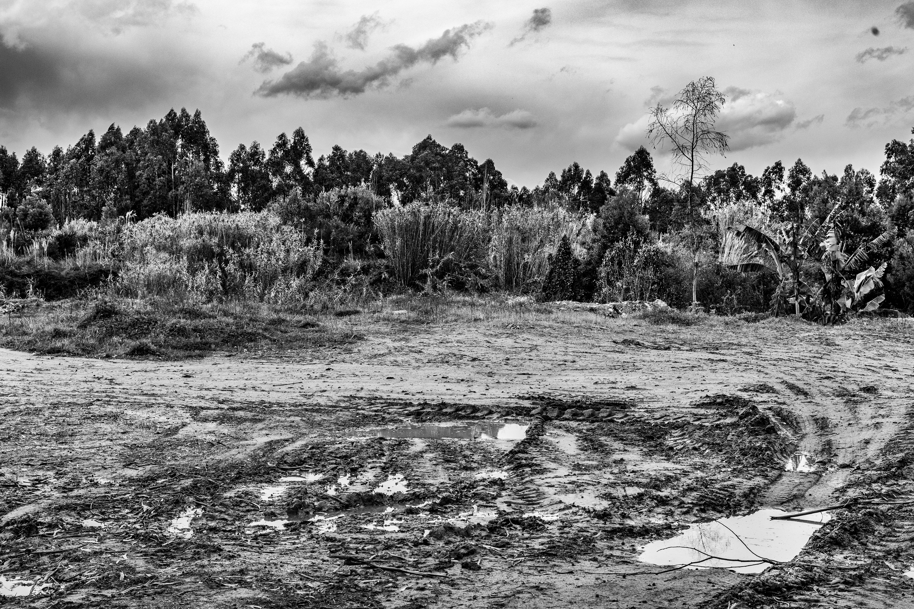 Serra de Negrelos, Vila Nova de Gaia, Nord, Portugal, 2025