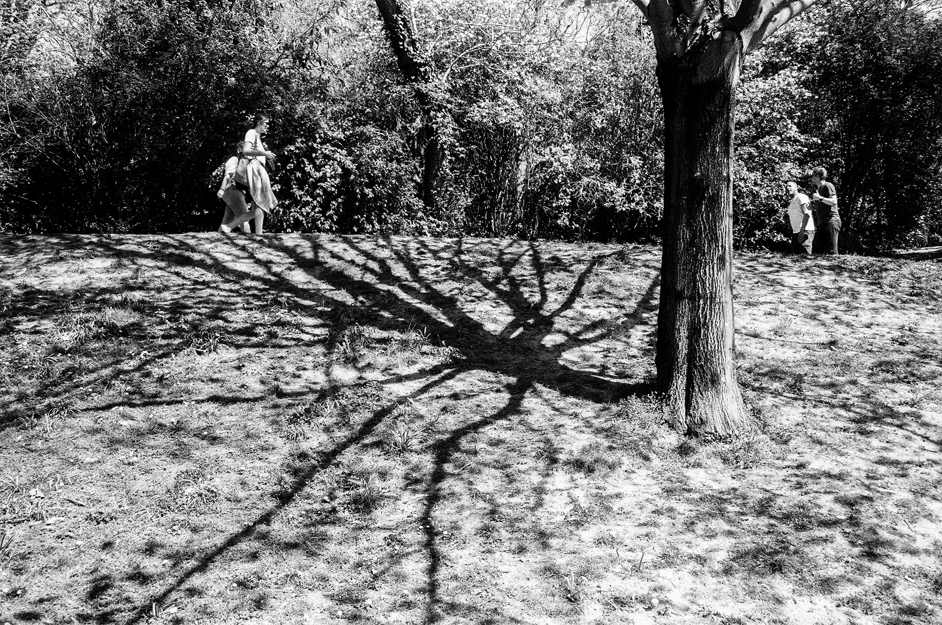 Parc des Buttes Chaumont, 75019, Paris, Ile-de-France, France, 2025 (Argentique)