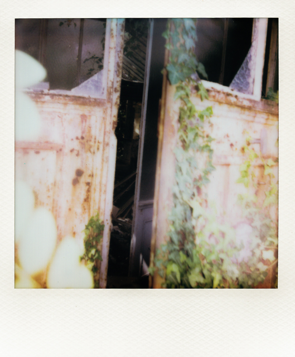 Série "Serres froides", 2026 (Polaroid)