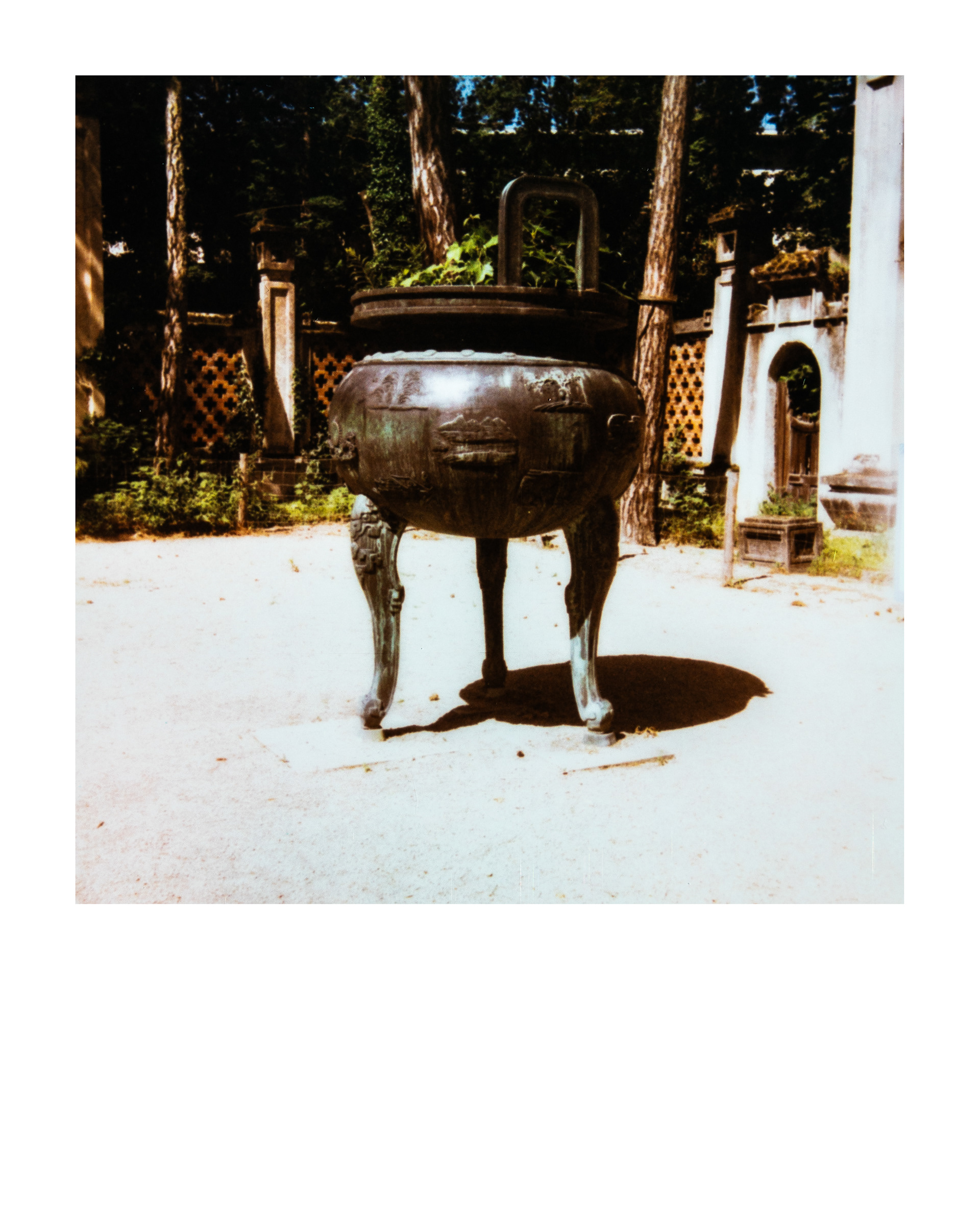Jardin d'agronomie tropicale René Dumont, Paris, Ile-de-France, France, 2026 (Polaroid)