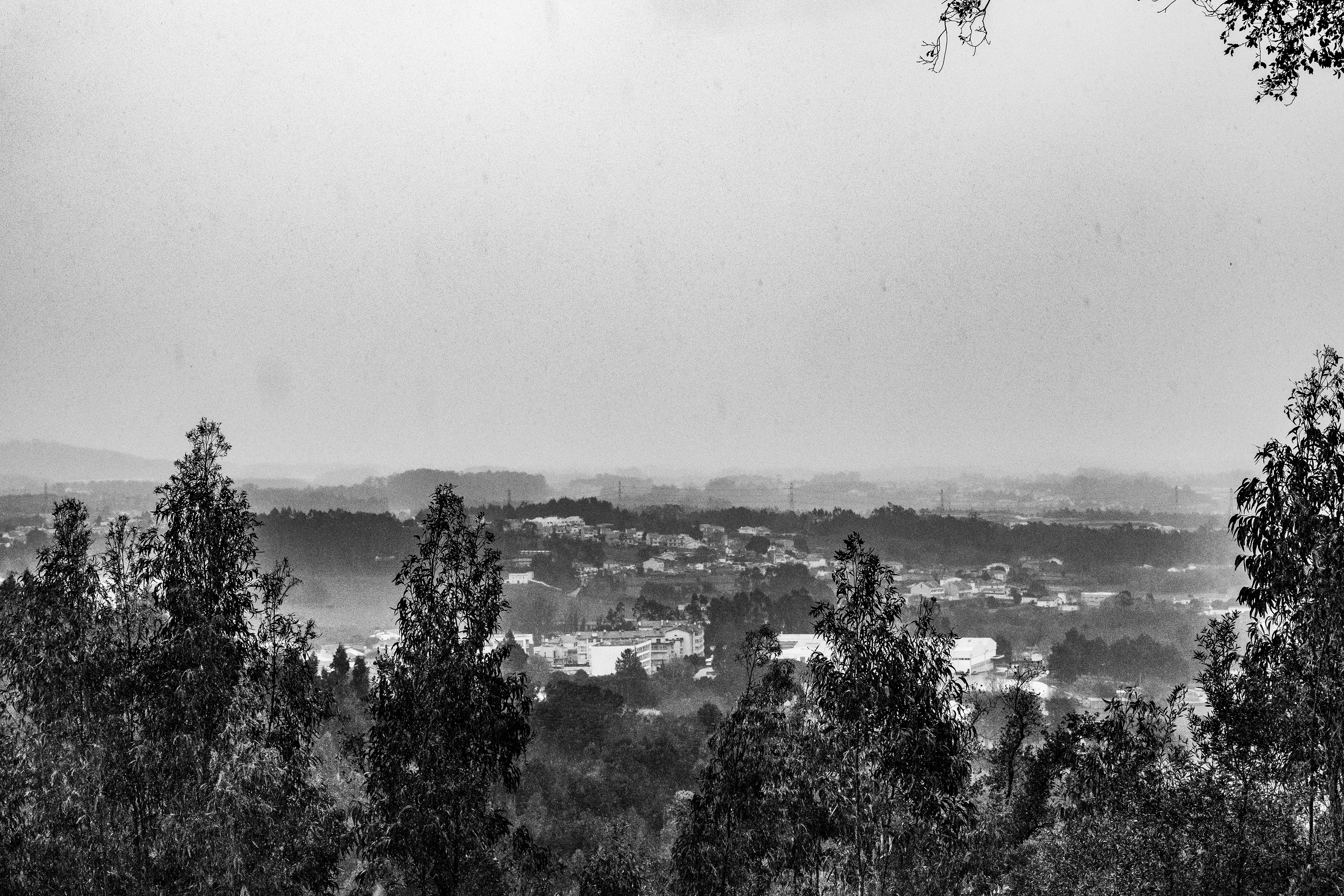 Serra de Negrelos, 4400, Vila Nova de Gaia, Nord, Portugal, 2025 (Numérique)
