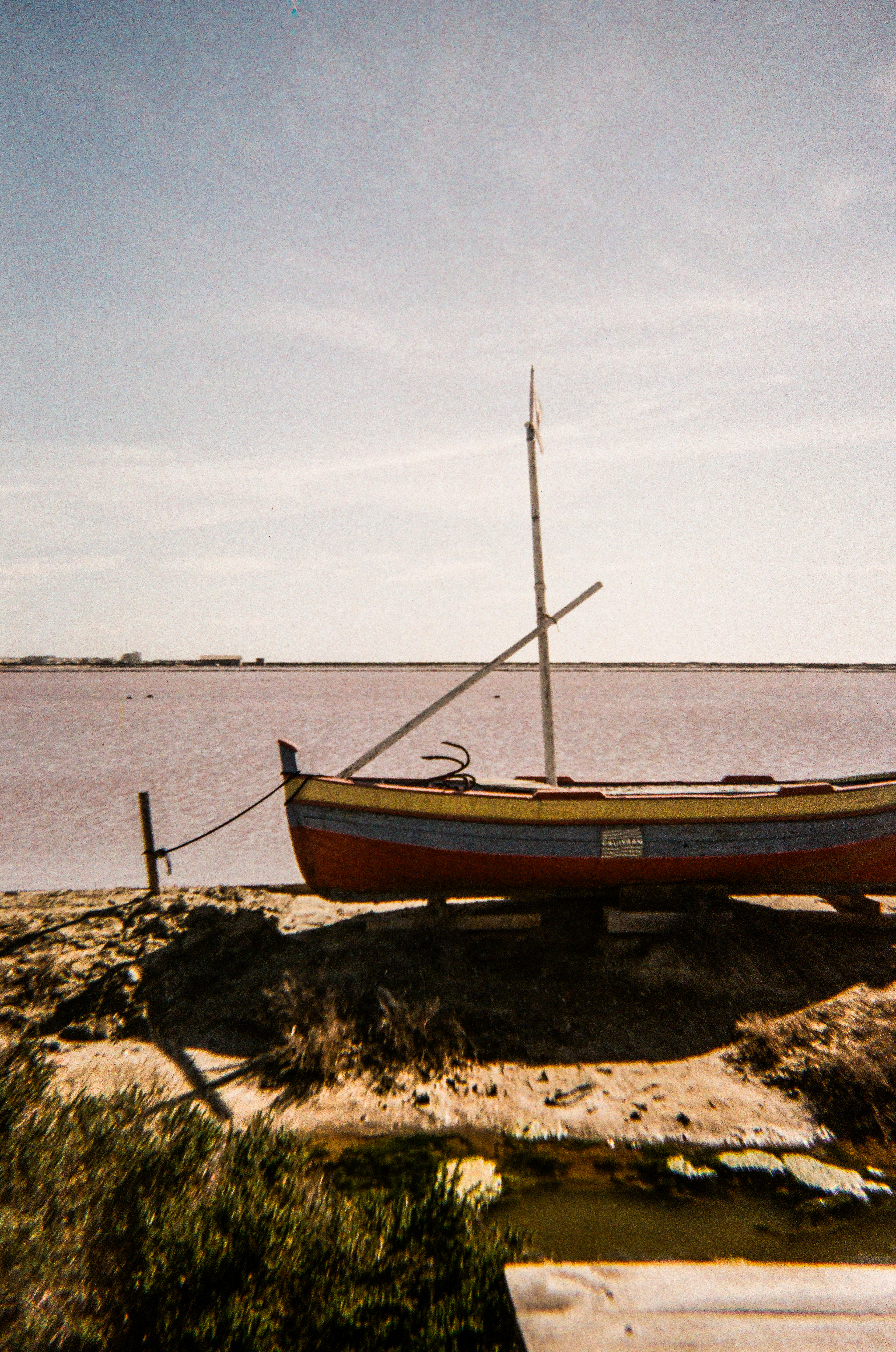 Le salin de l'Île Saint-Martin, Gruissan, Aude, France, 2026