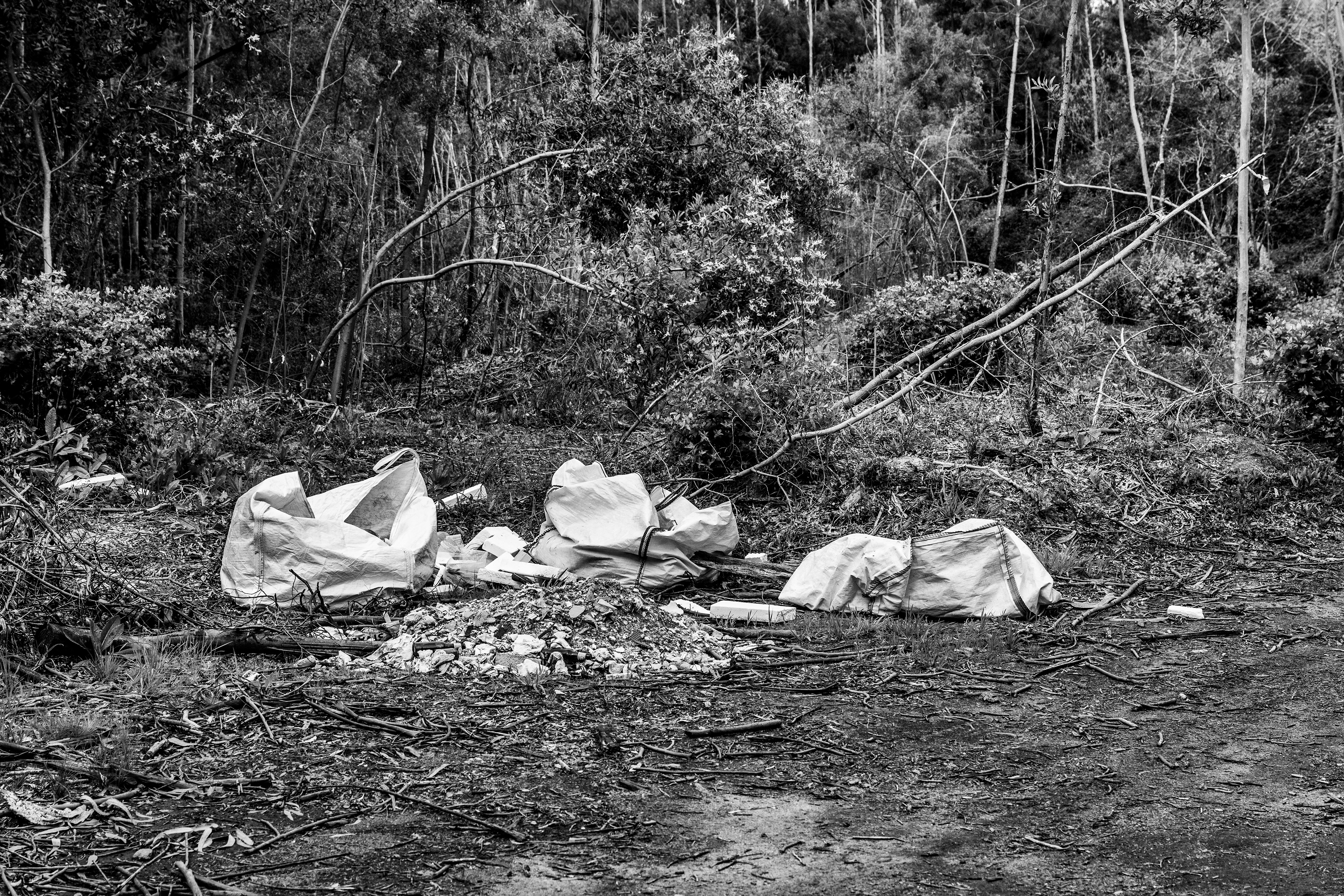 Serra de Negrelos, Vila Nova de Gaia, Nord, Portugal, 2025