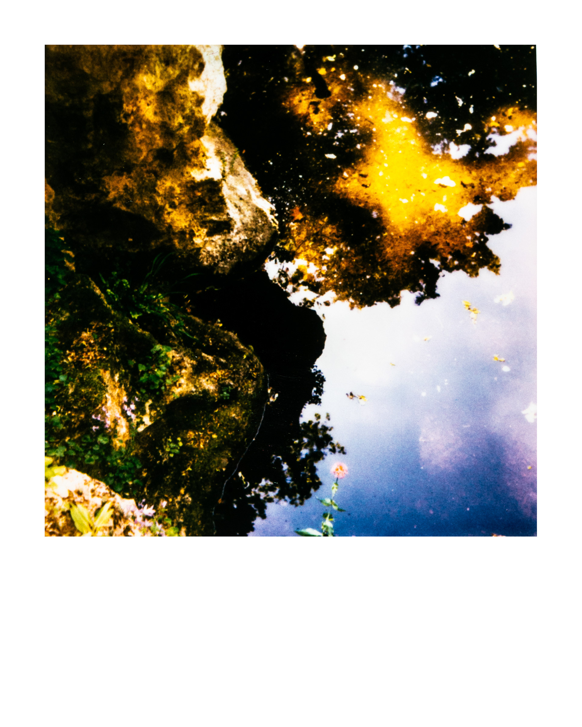 Série "Parcs", Musée départemental Albert-Kahn, 2026 (Polaroid)