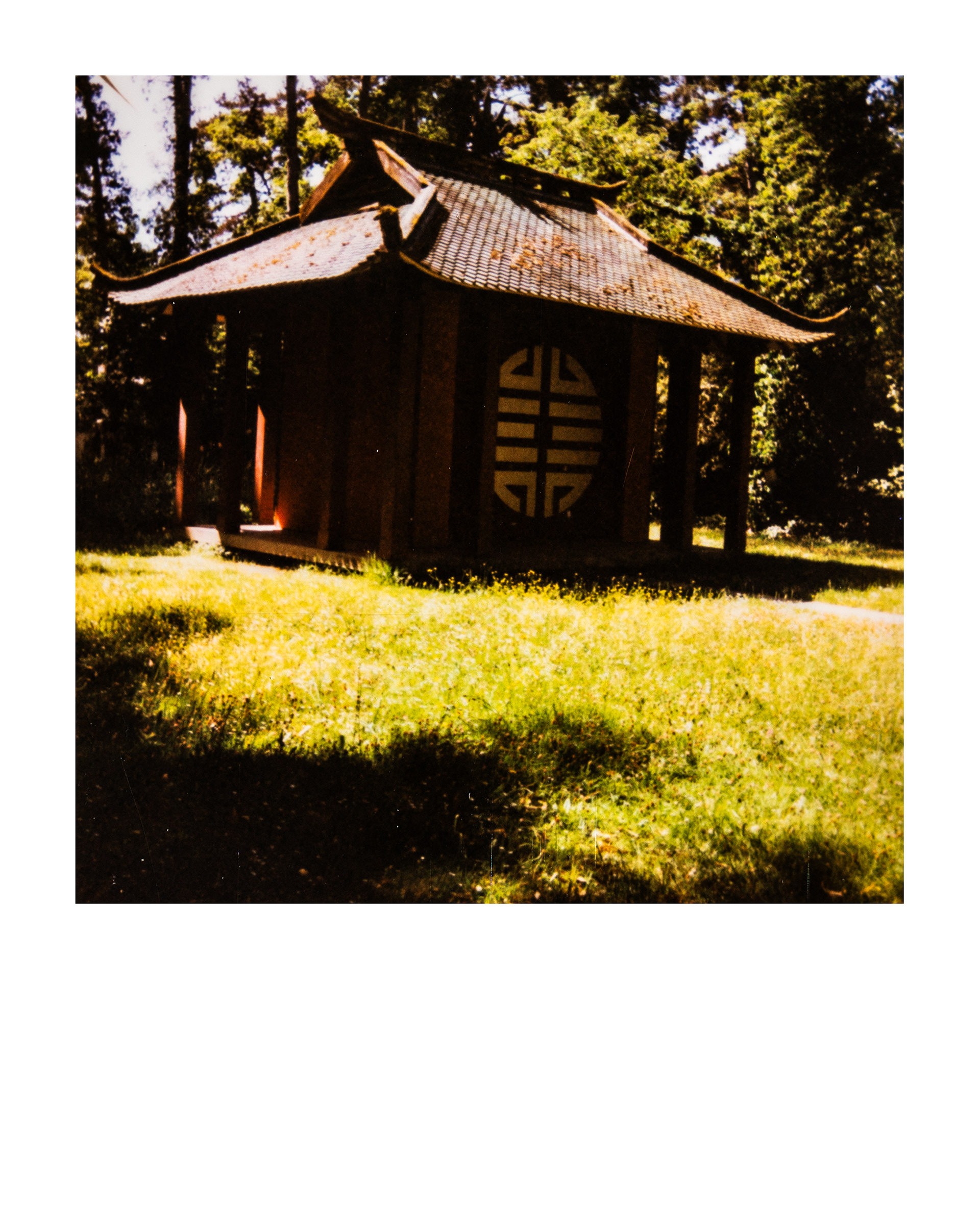 Maison cochinchinoise, Jardin d'agronomie tropicale René Dumont, Paris, Ile-de-France, France, 2026 (Polaroid)