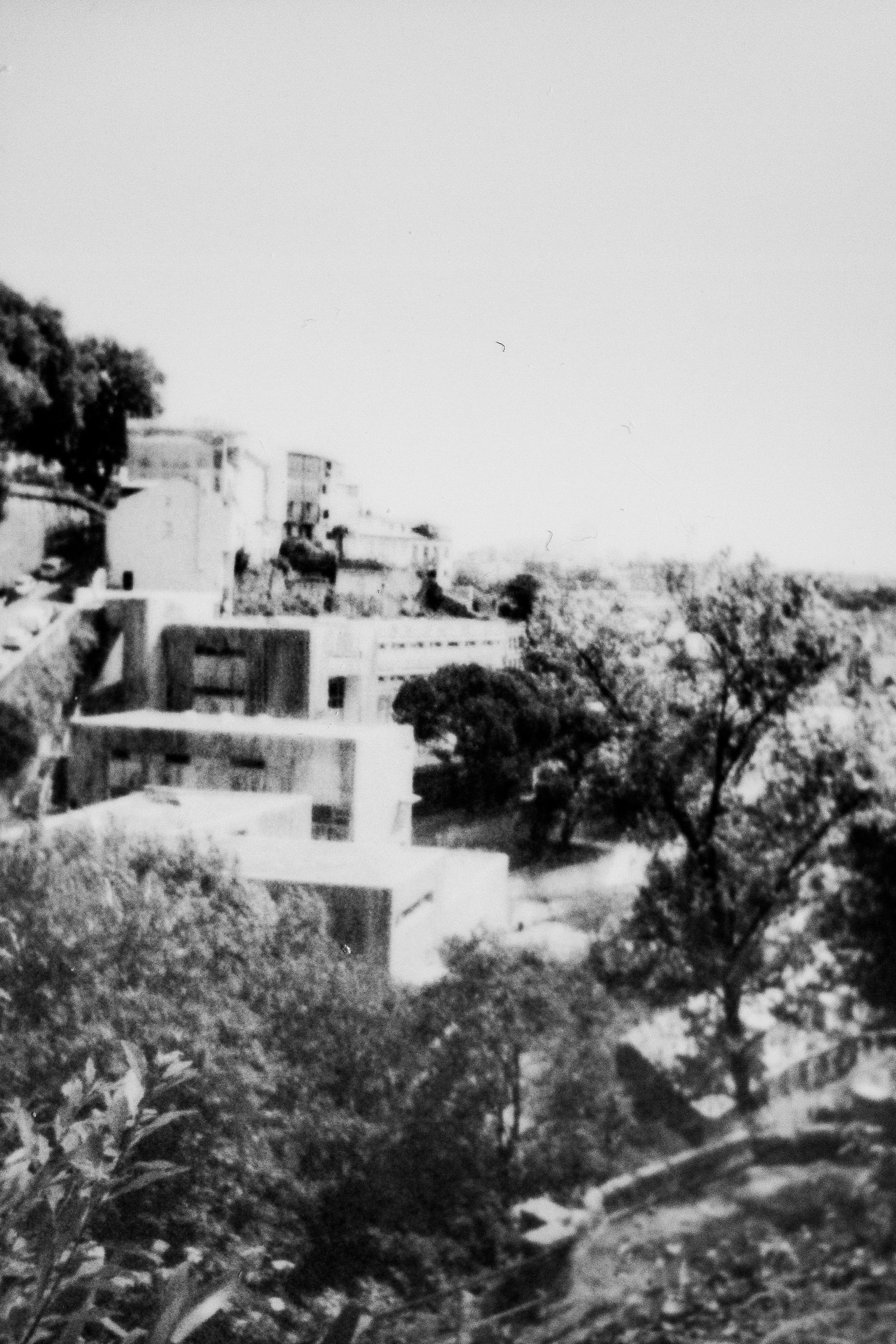 Parque das Vitruves, 4000, Porto, Nord, Portugal, 2026 (Polaroid)