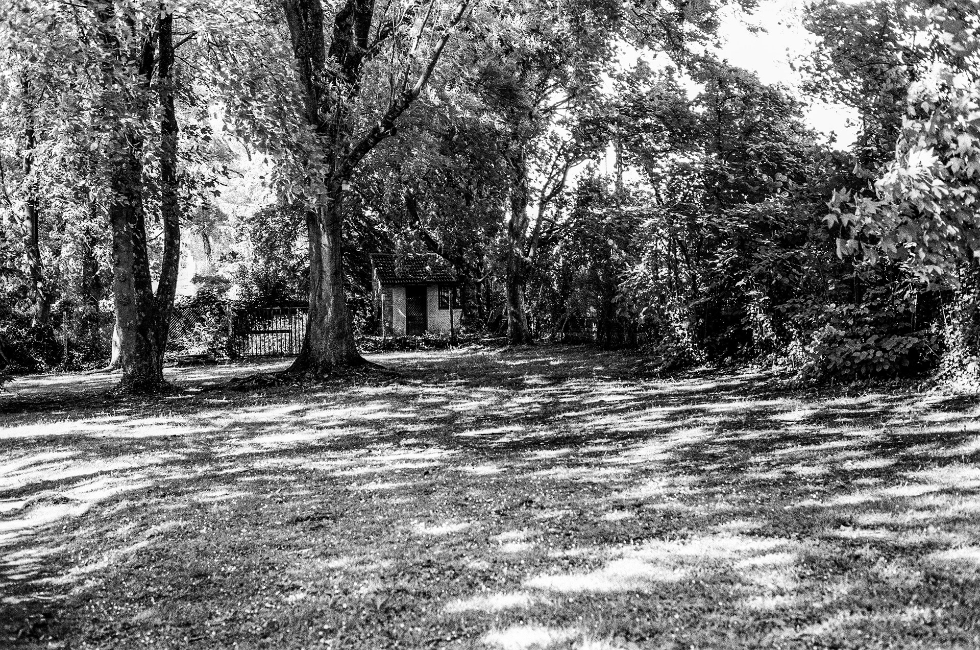78670, Villennes-Sur-Seine, Yvelines, Ile-de-France, France, 2025 (Argentique)