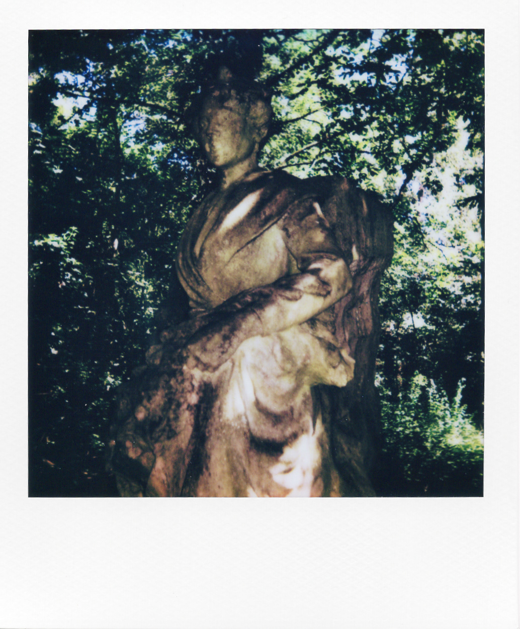 Série "Persistance", Jardin d'agronomie tropicale René Dumont, 2026 (Polaroid)
