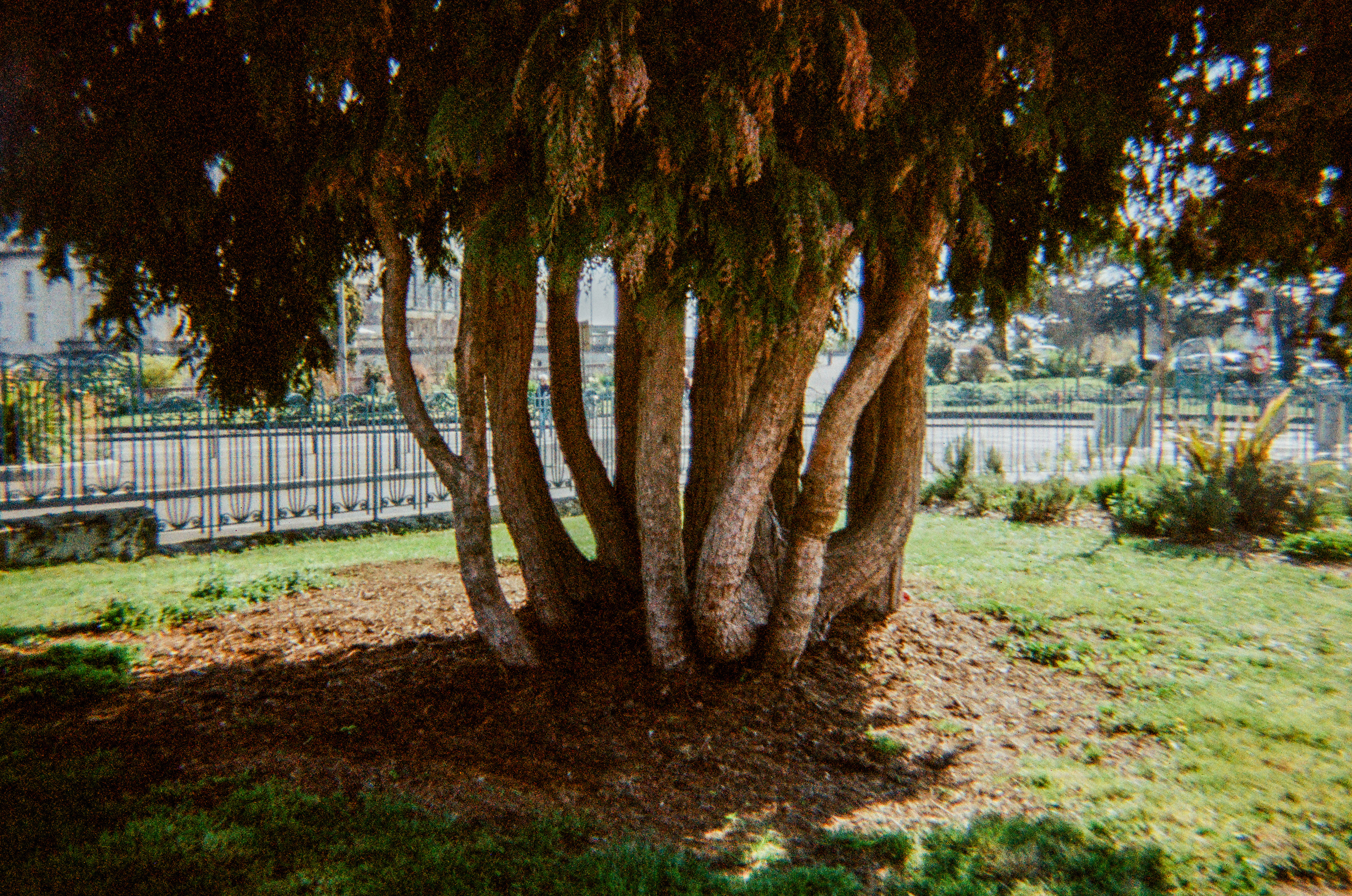 Limoges, Haute-Vienne, Nouvelle-Aquitaine, France, 2026