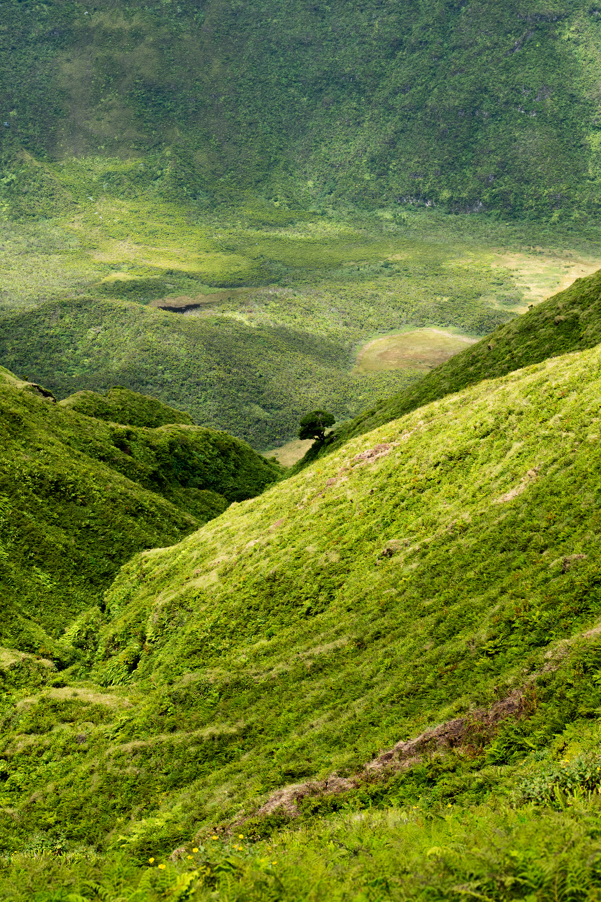 Caldeira do Faial, 9900, Faial, Azores, Portugal, 2025 (Numérique)