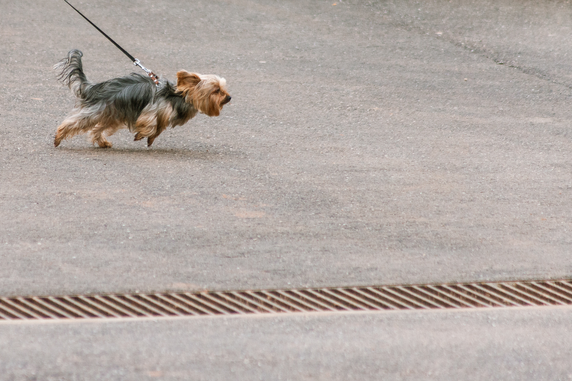 Nazaré, Ouest, Portugal, 2026