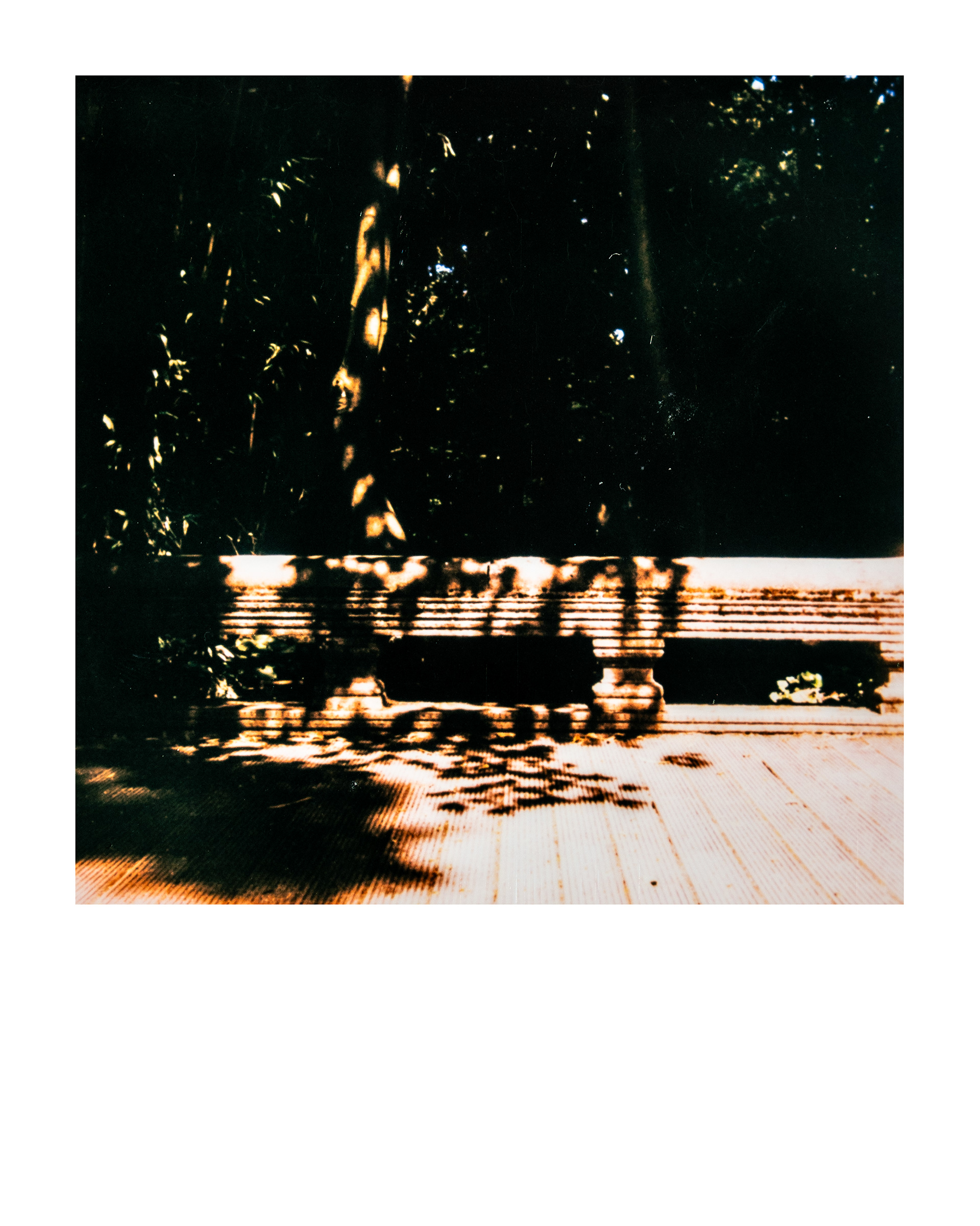 Pont Khmer, Jardin d'agronomie tropicale René Dumont, Paris, Ile-de-France, France, 2026 (Polaroid)