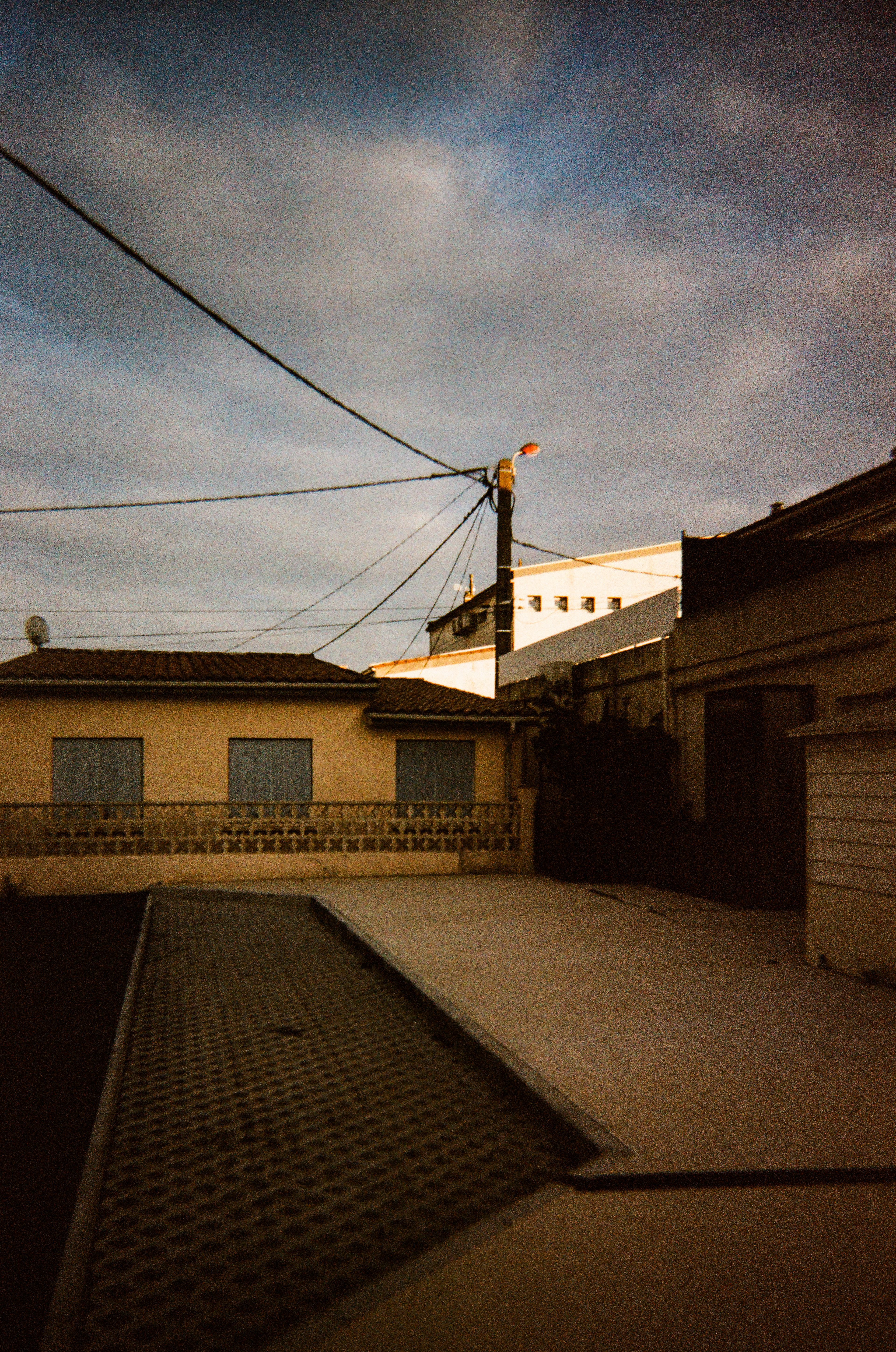 11100, Narbonne plage, Narbonne, Aude, Occitanie, France, 2026 (Argentique)