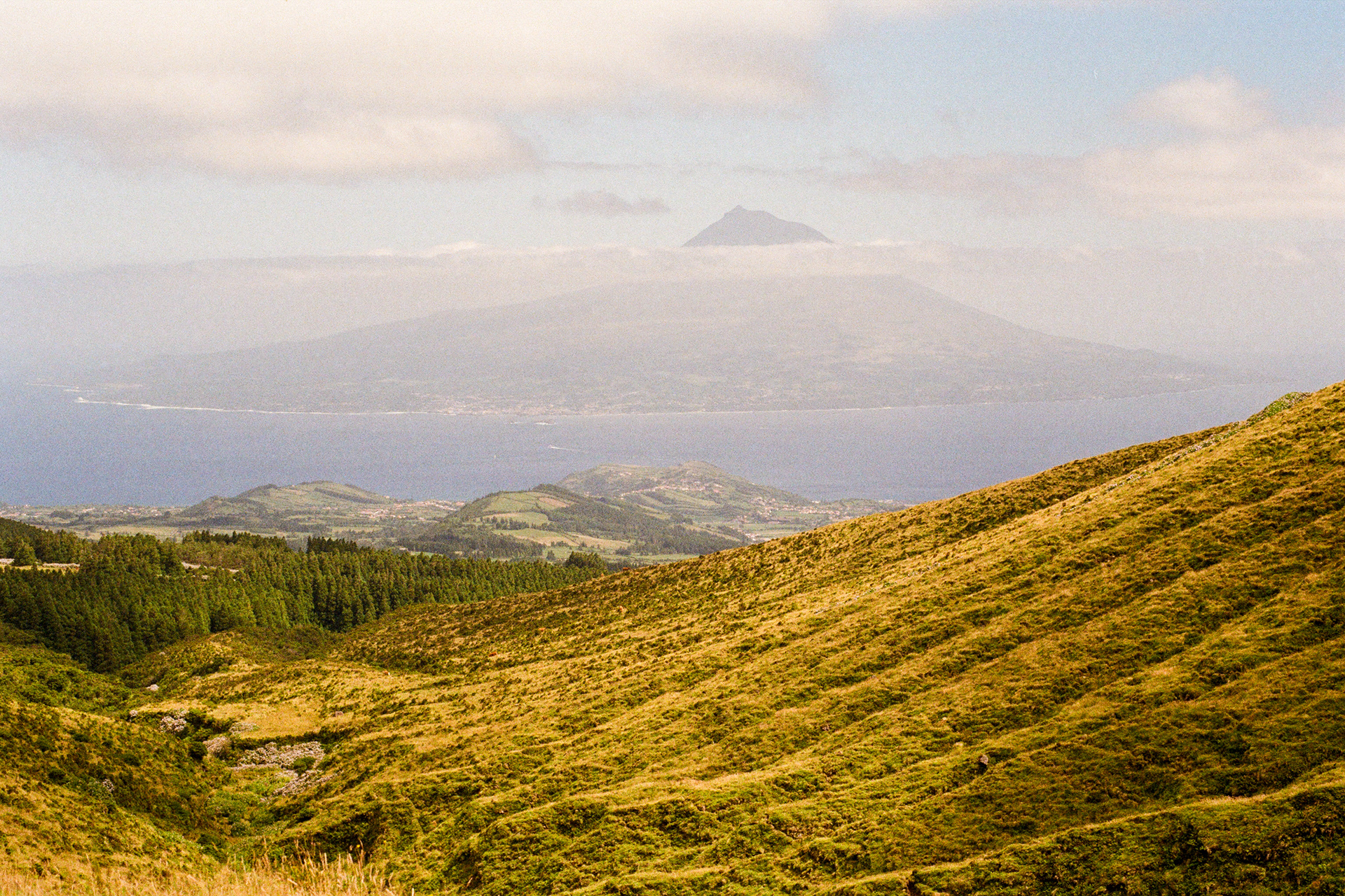Faial, Azores, Portugal, 2025