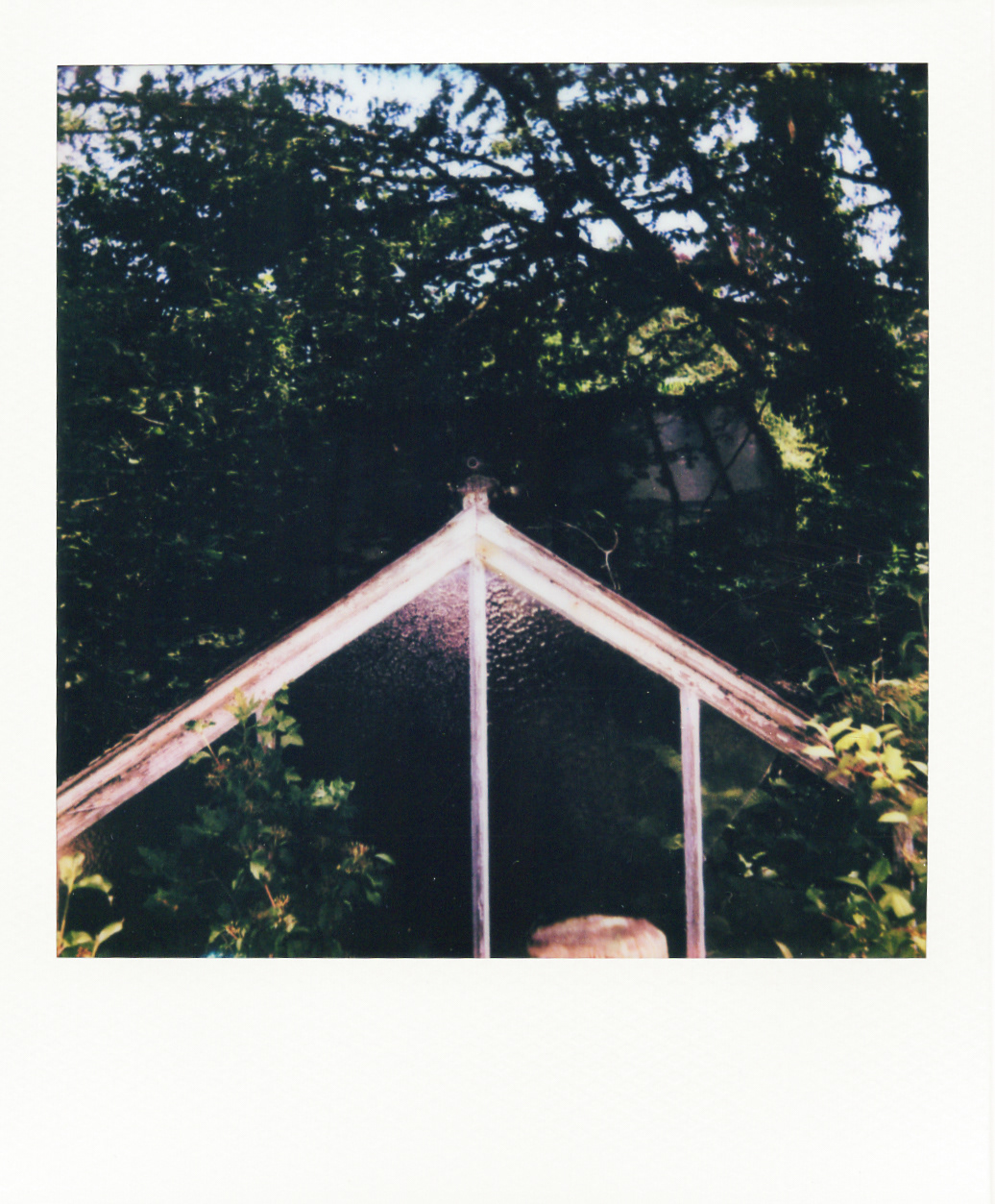 Série "Serres froides", 2026 (Polaroid)