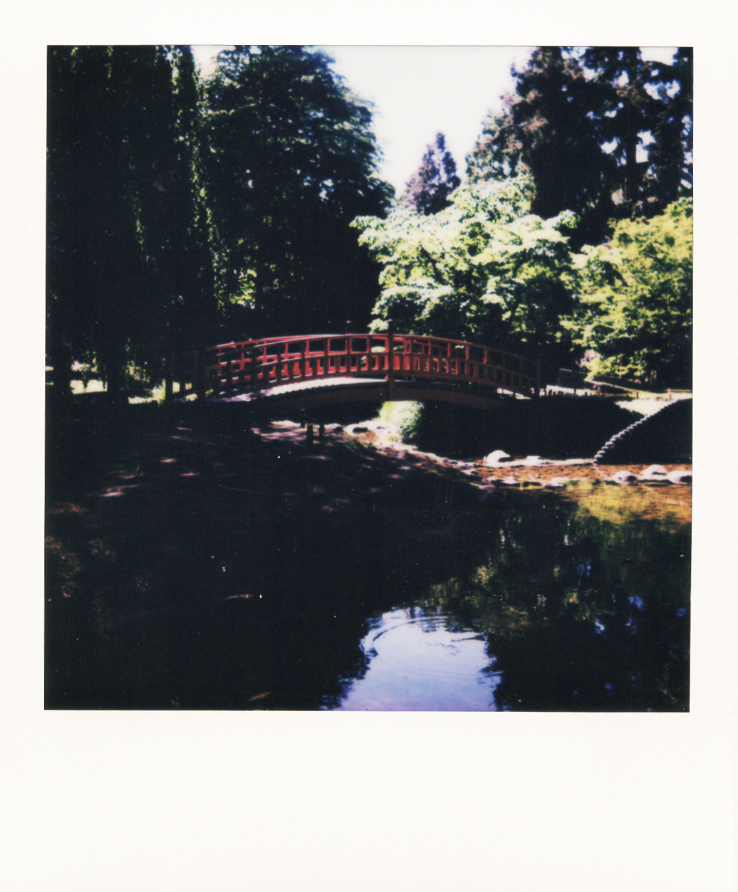 Série "Persistance", Musée départemental Albert-Kahn, 2026 (Polaroid)