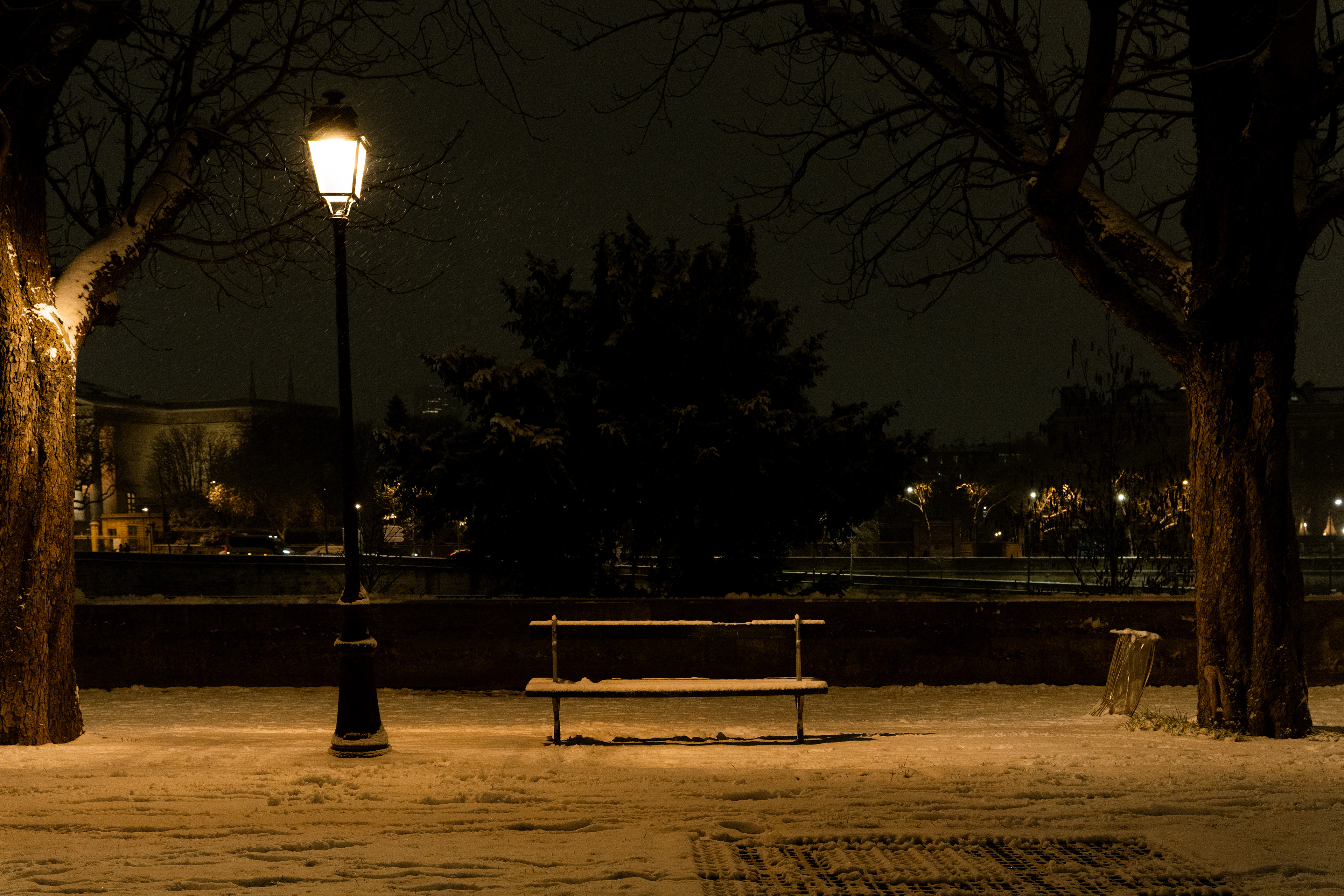 Promenade du Cours-de-la-Reine, Paris, Ile-de-France, France, 2026