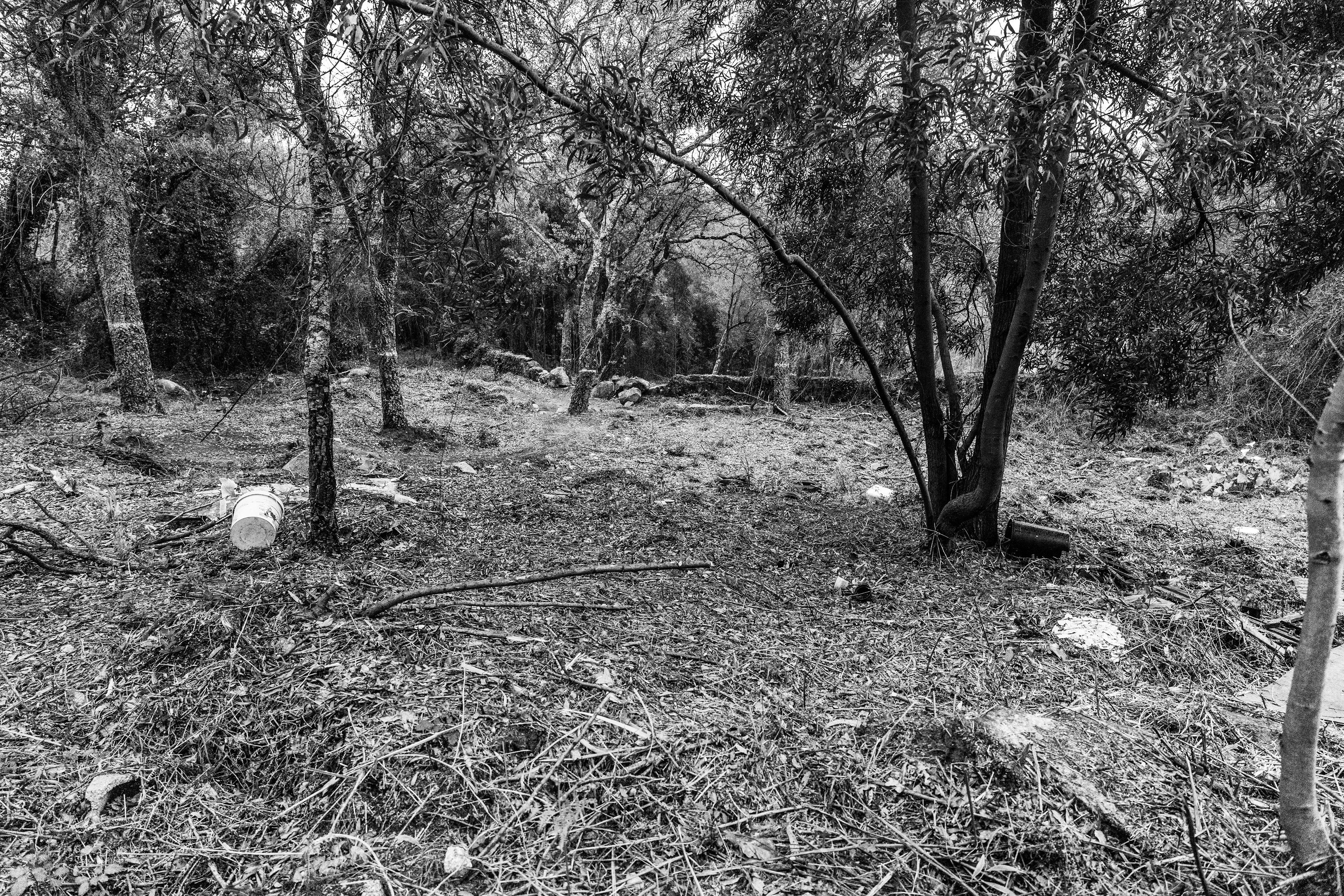 Serra de Negrelos, Vila Nova de Gaia, Nord, Portugal, 2025