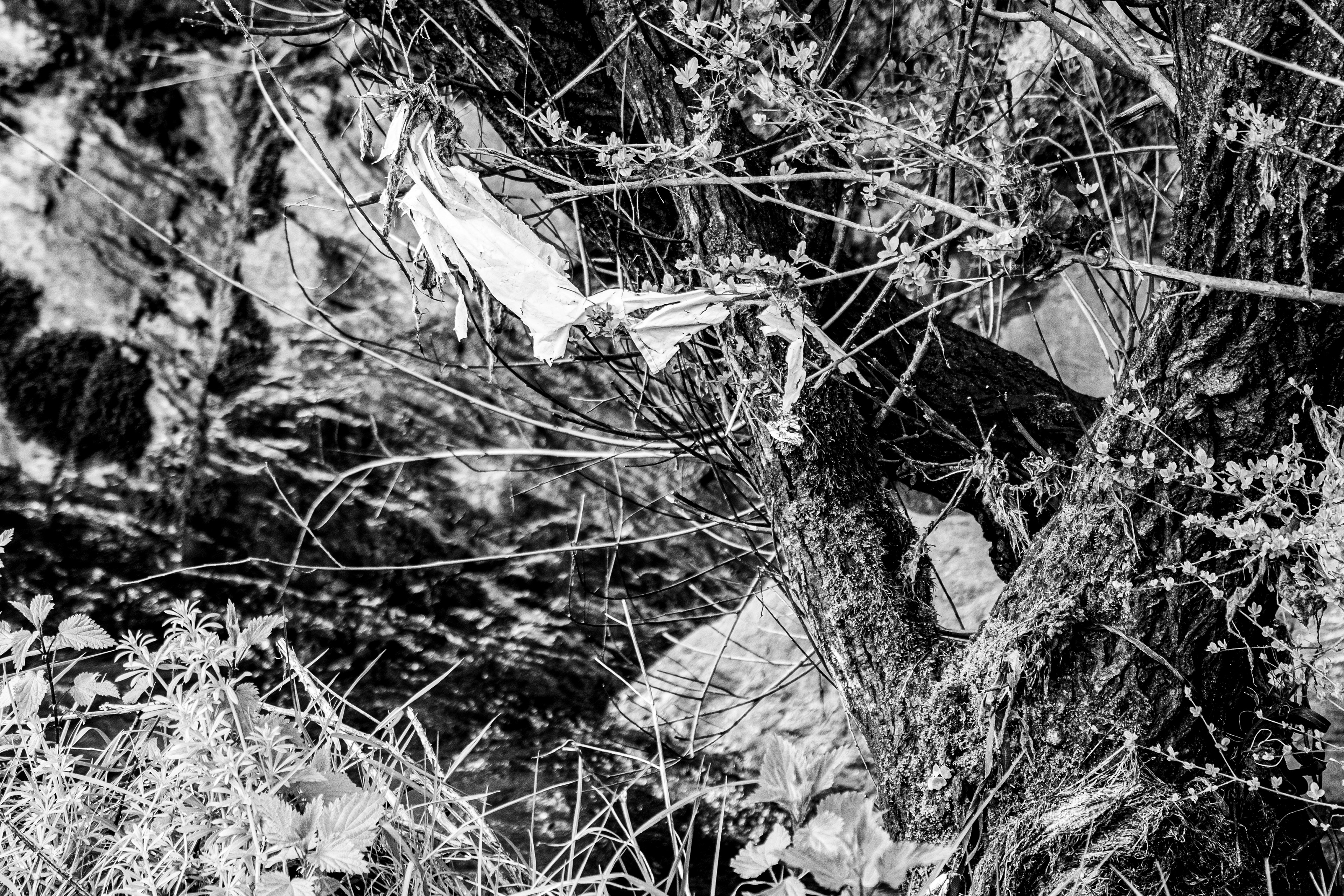 Valongo, Nord, Portugal, 2025