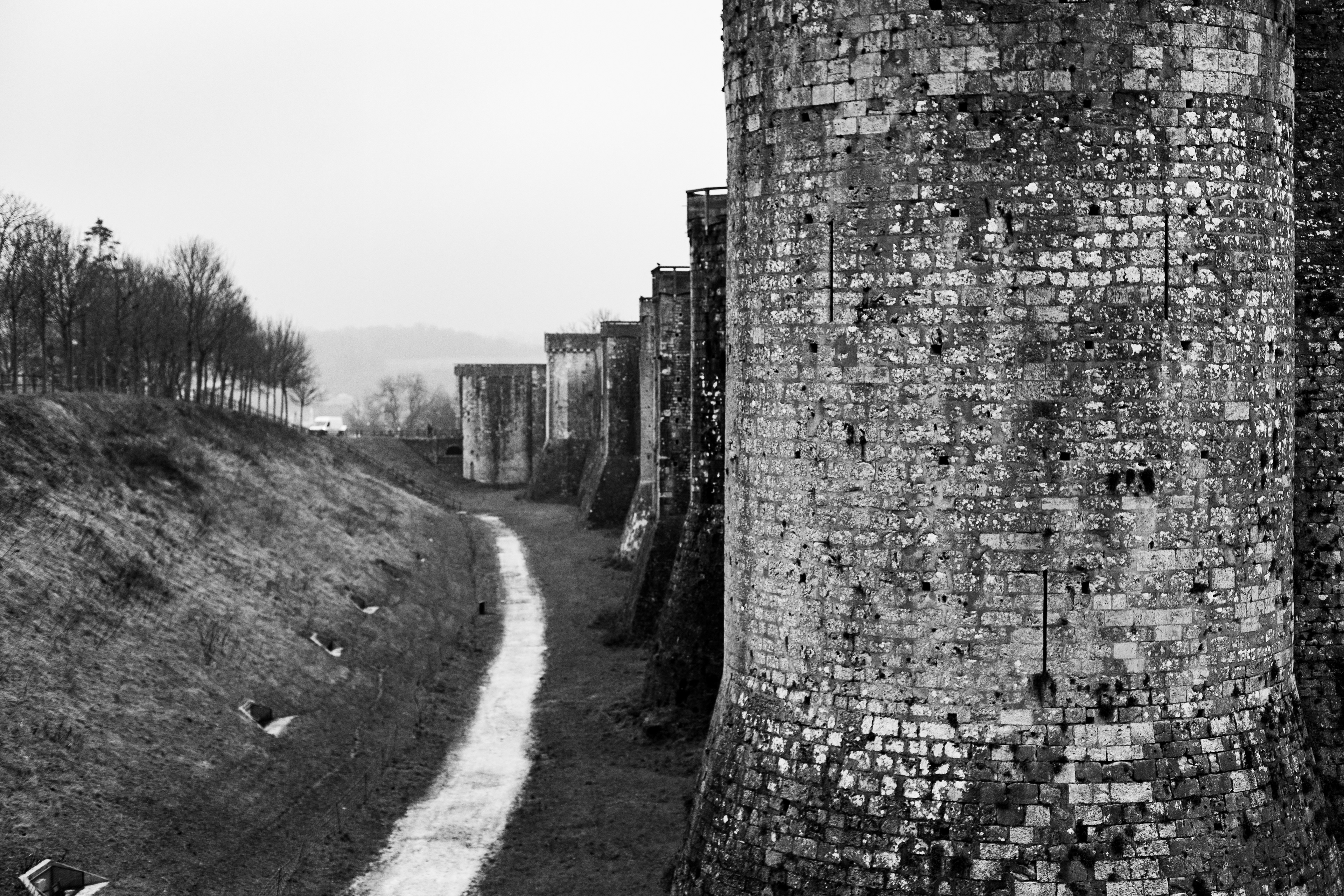 Provins, Seine-et-Marne, Ile-de-France, France, 2024