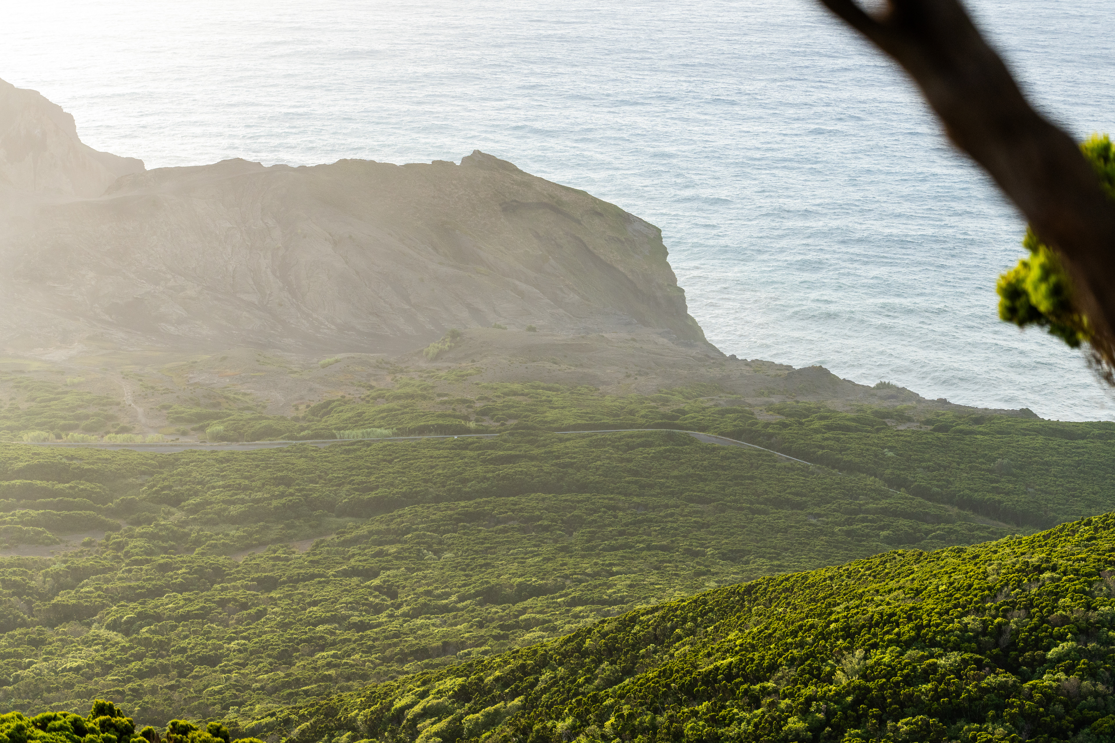 Faial, Azores, Portugal, 2025