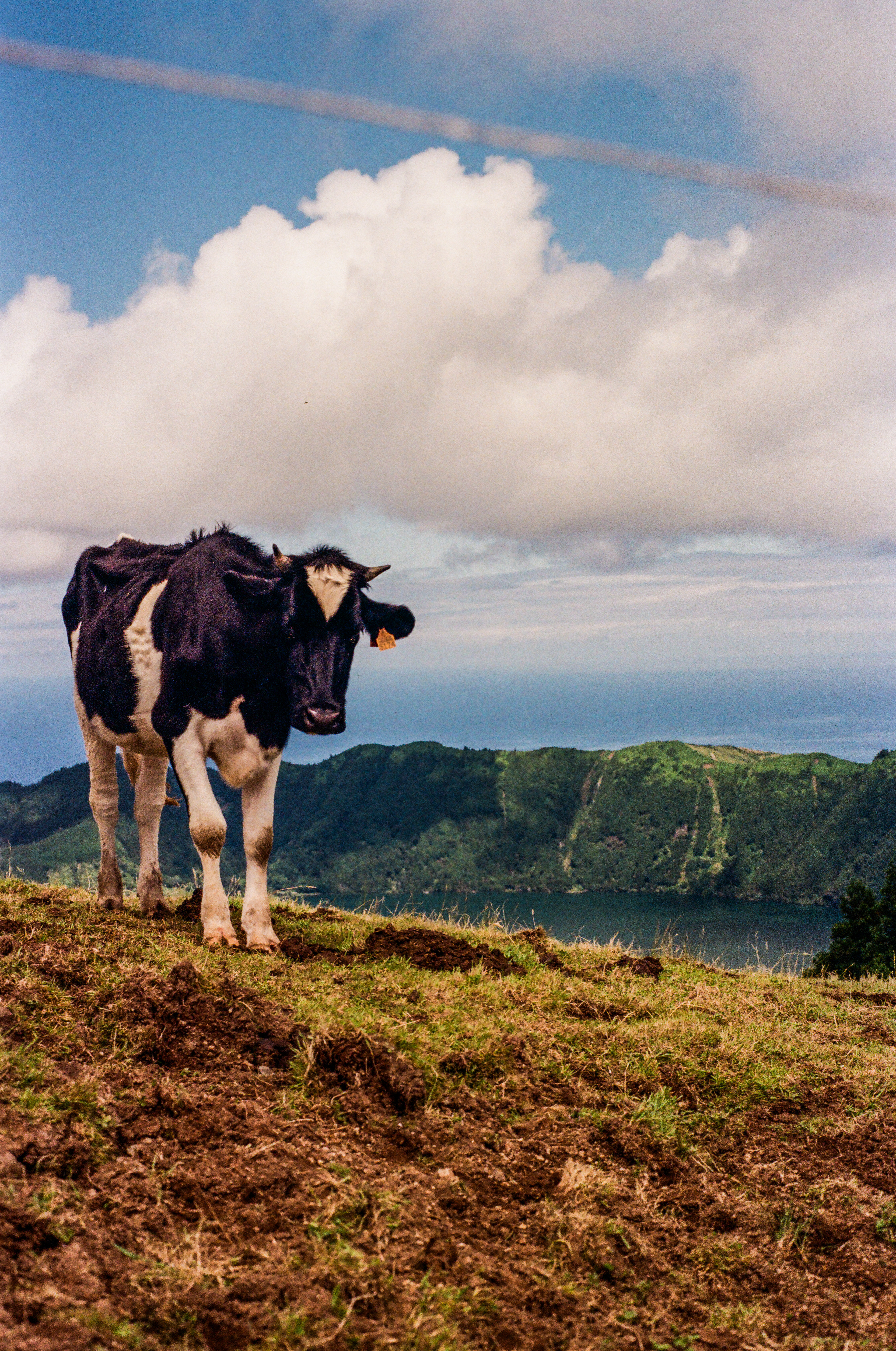 São Miguel, Azores, Portugal, 2025