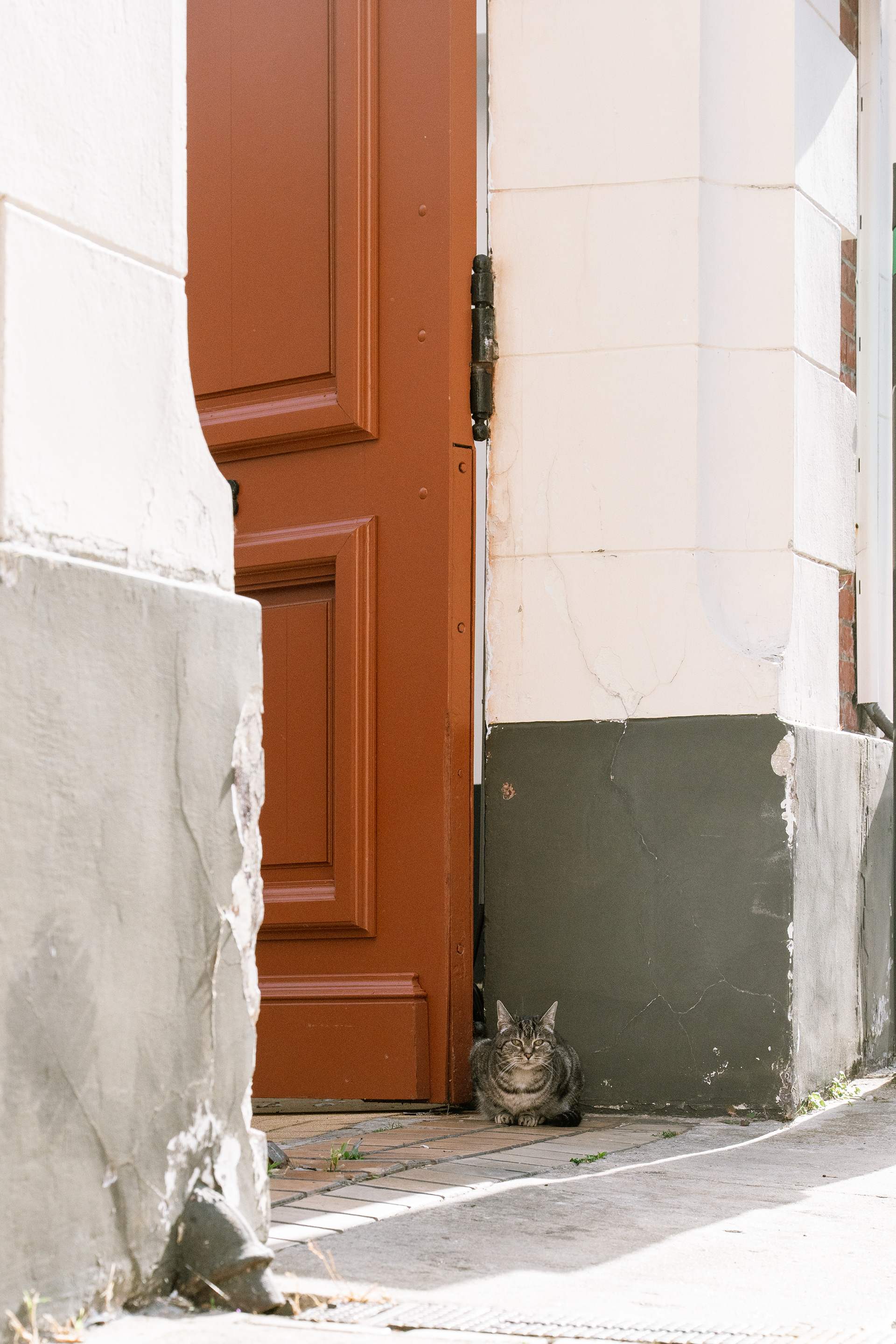 Arras, Pas-De-Calais, Hauts-de-France, France, 2025
