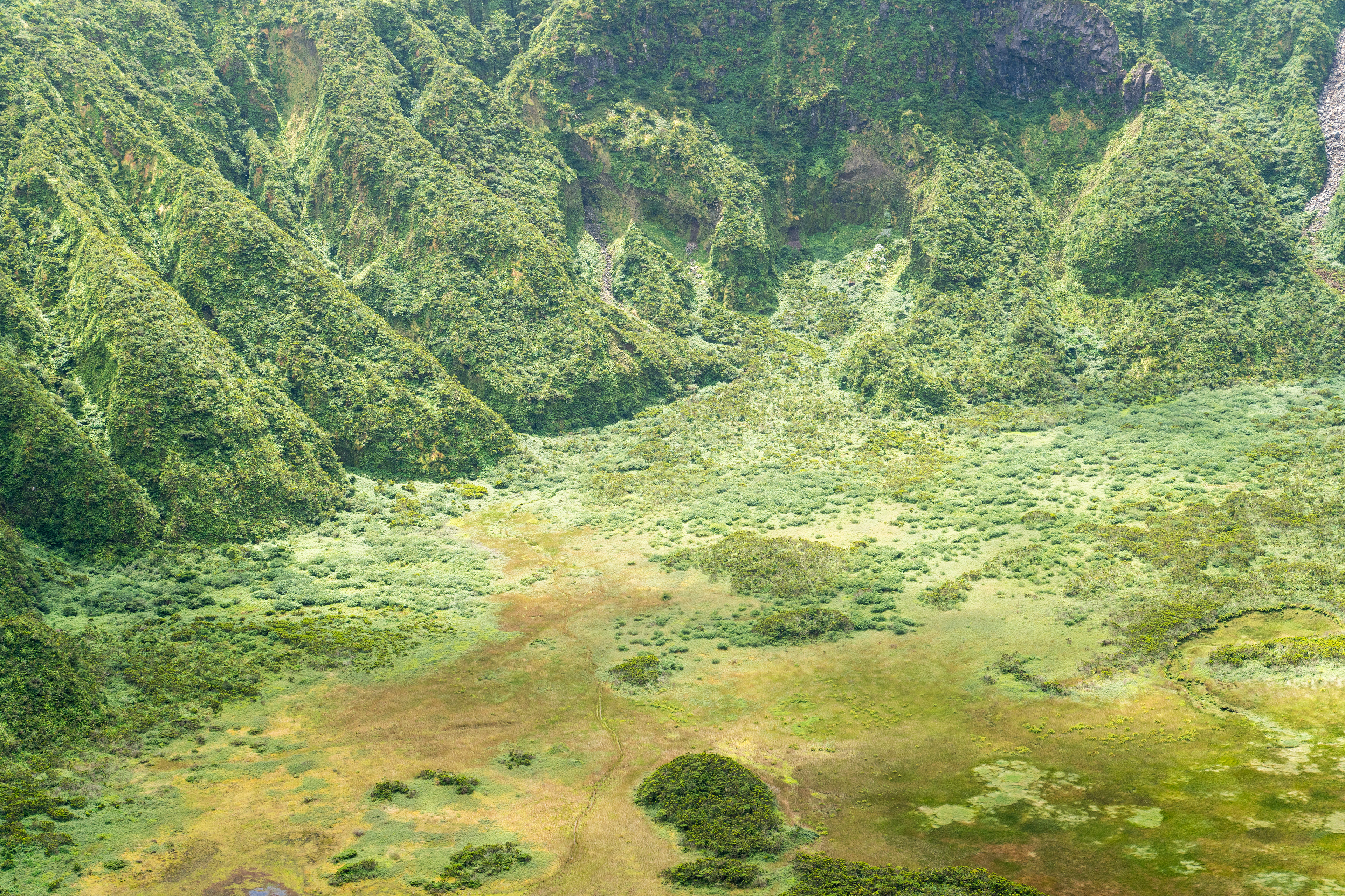 Caldeira do Faial, 9900, Faial, Azores, Portugal, 2025 (Argentique)