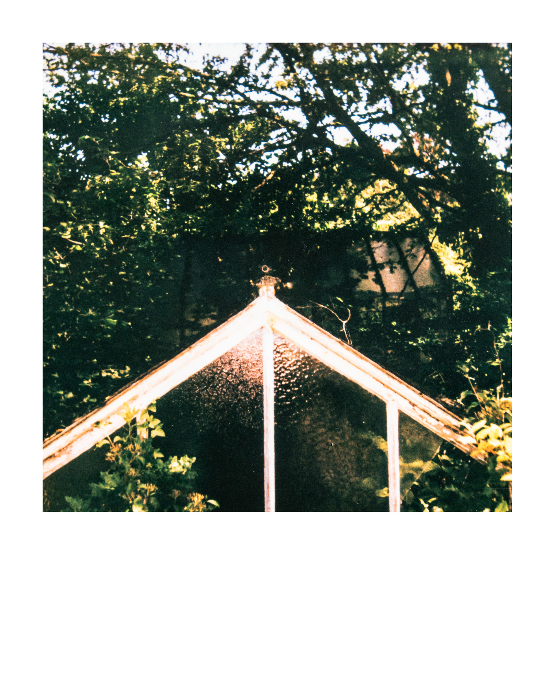 Série "Serres froides", 2026 (Polaroid)